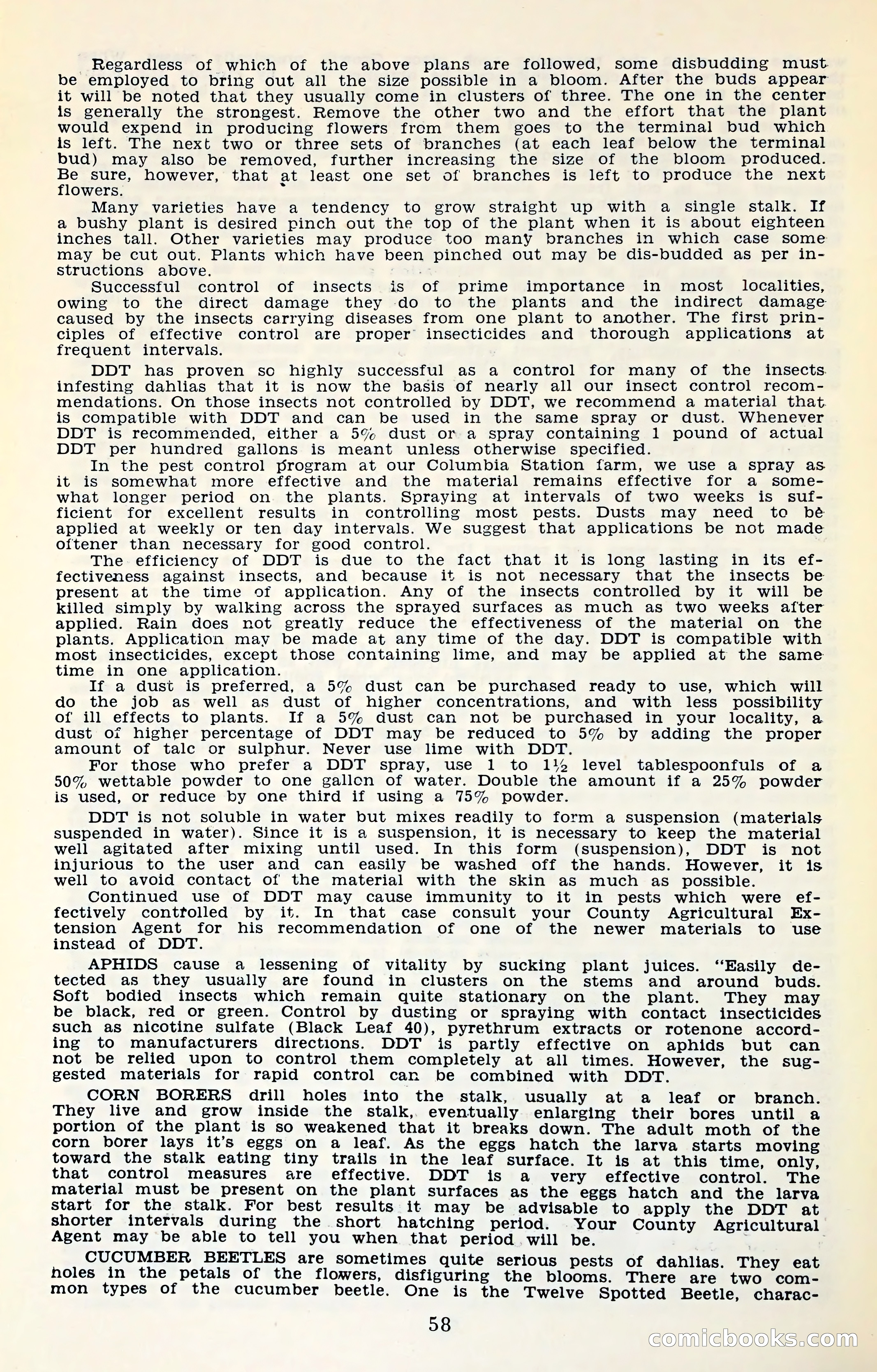 The Dahlia Blue Book for 1961 — page 61 of 71