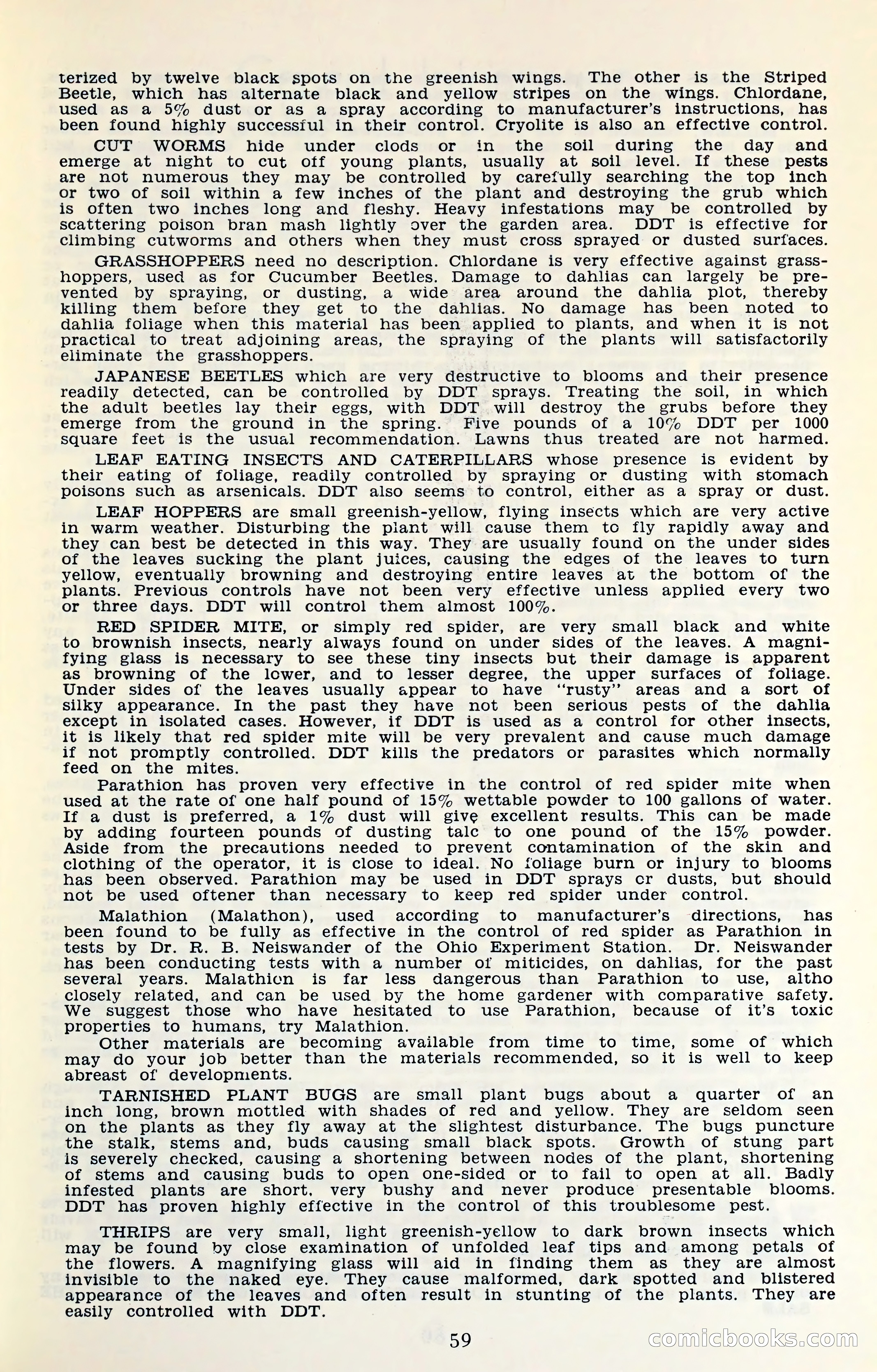 The Dahlia Blue Book for 1961 — page 62 of 71