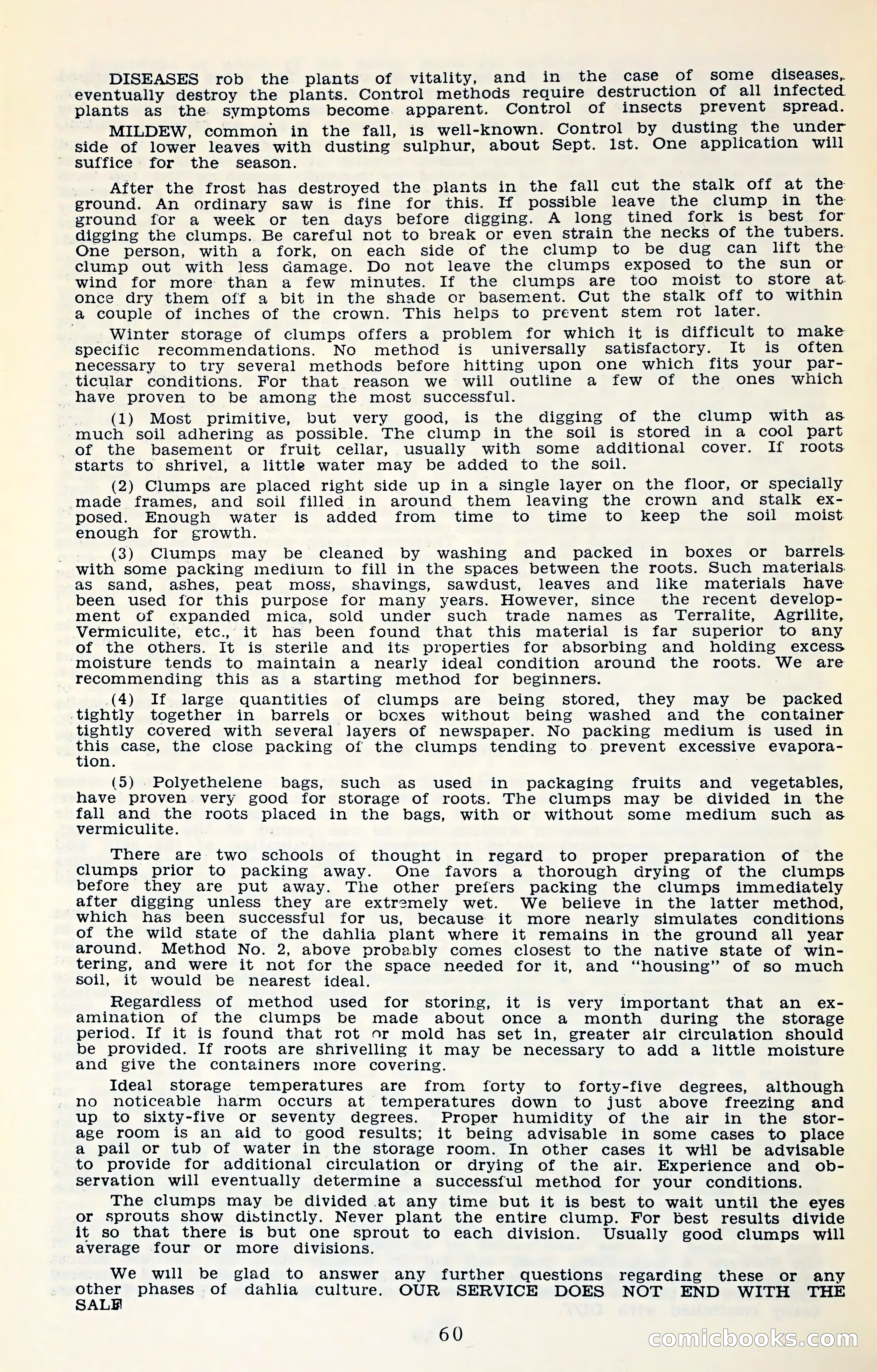 The Dahlia Blue Book for 1961 — page 63 of 71