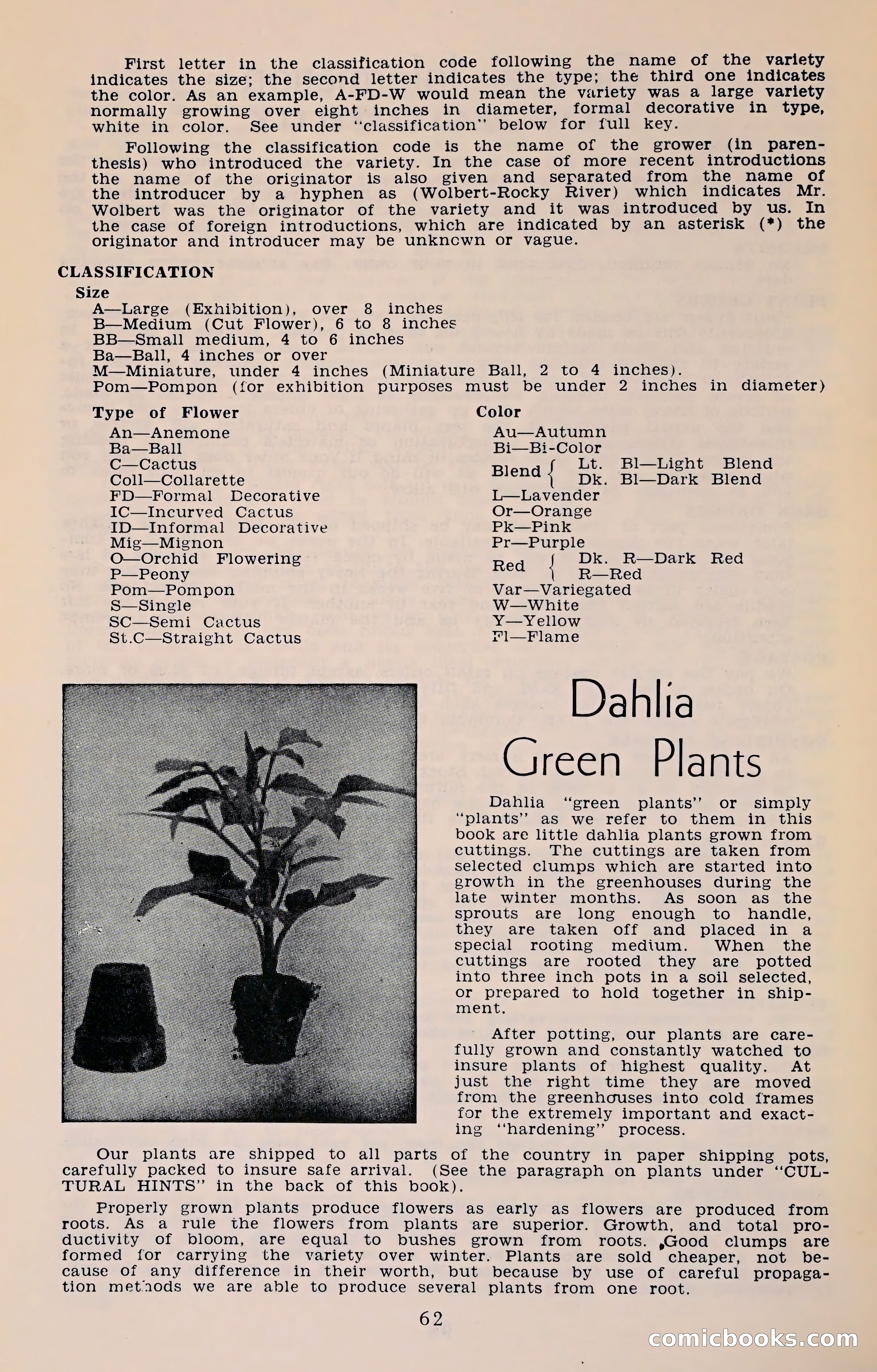 The Dahlia Blue Book for 1961 — page 65 of 71