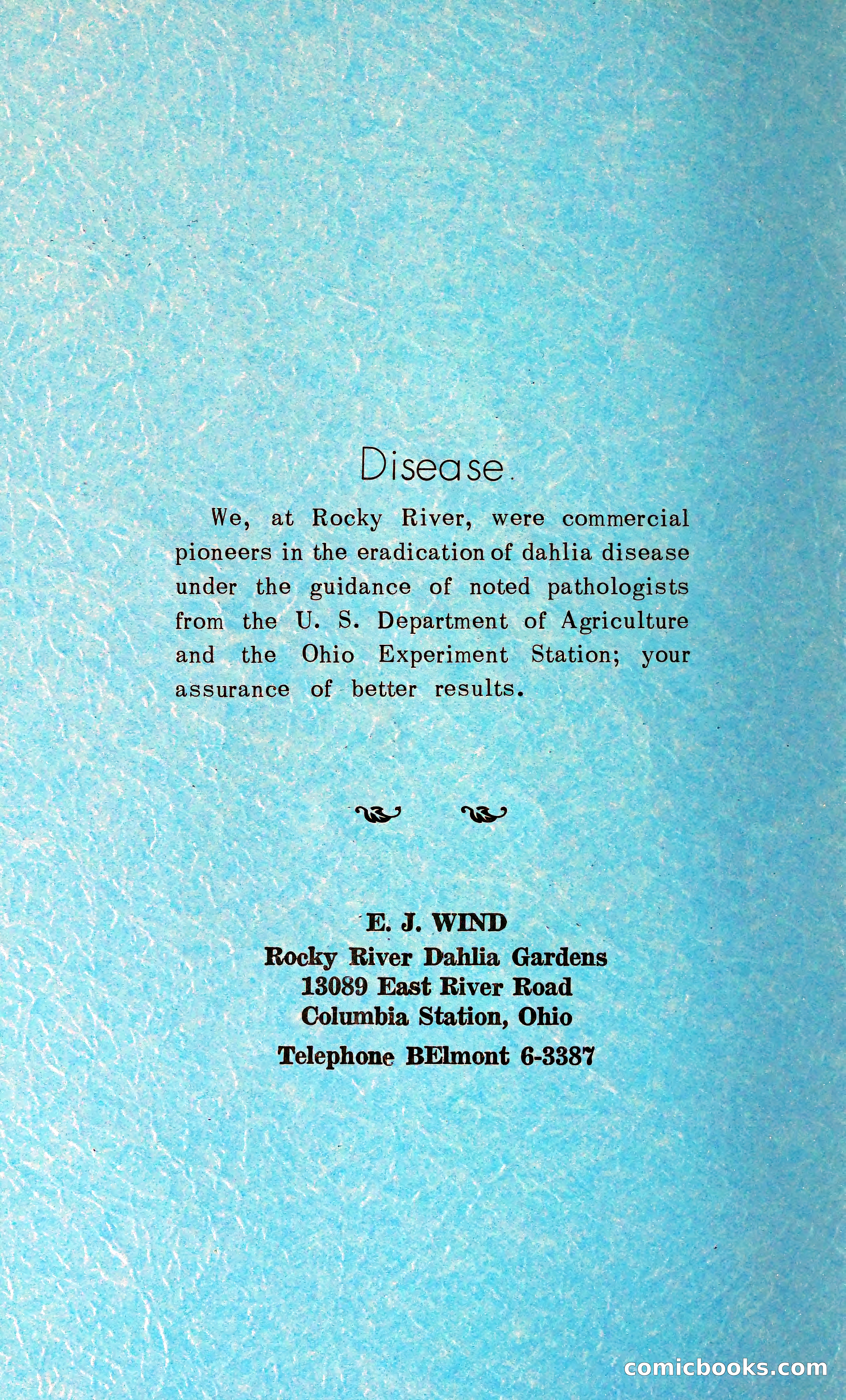 The Dahlia Blue Book for 1962 — page 3 of 71