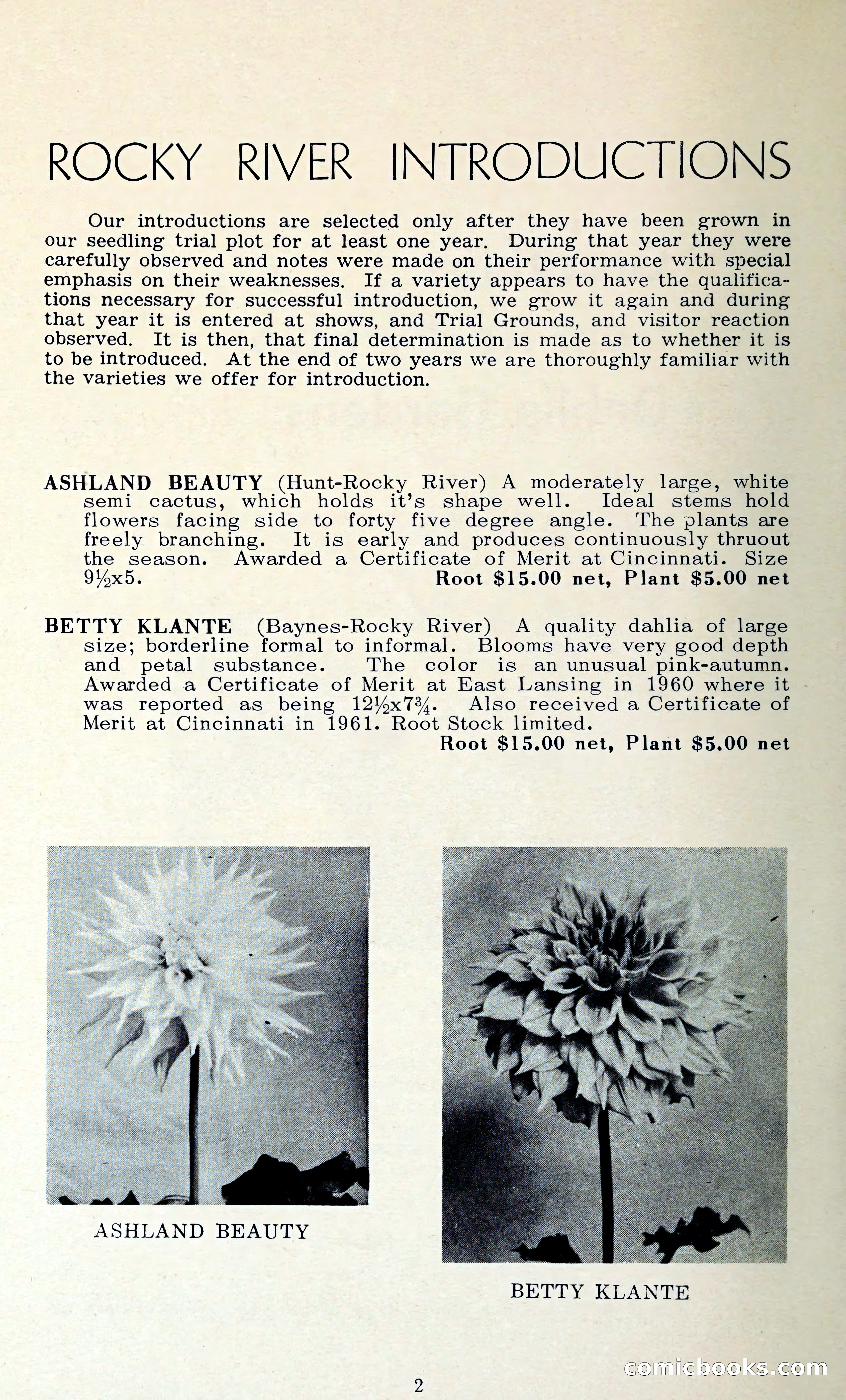 The Dahlia Blue Book for 1962 — page 5 of 71