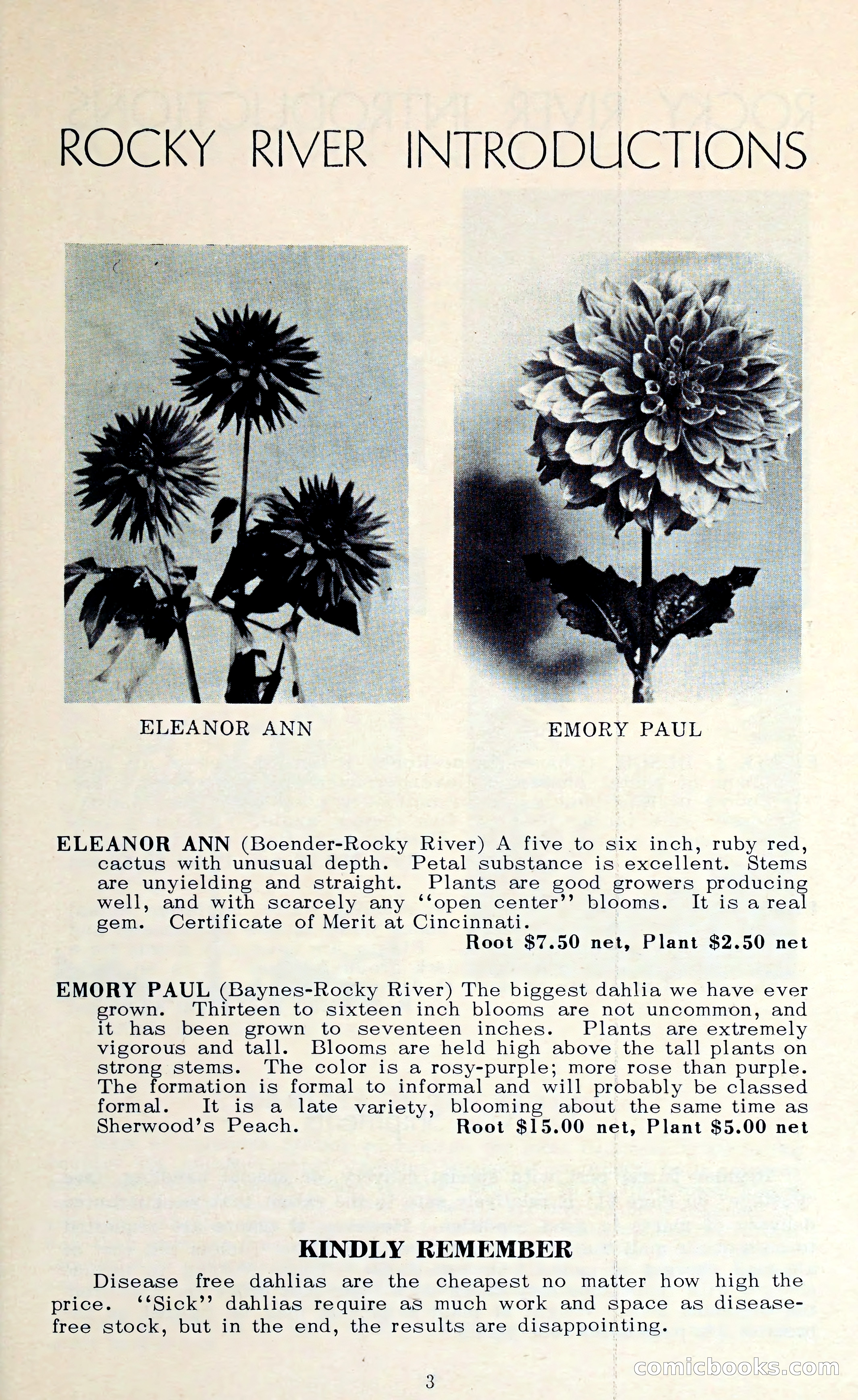 The Dahlia Blue Book for 1962 — page 6 of 71