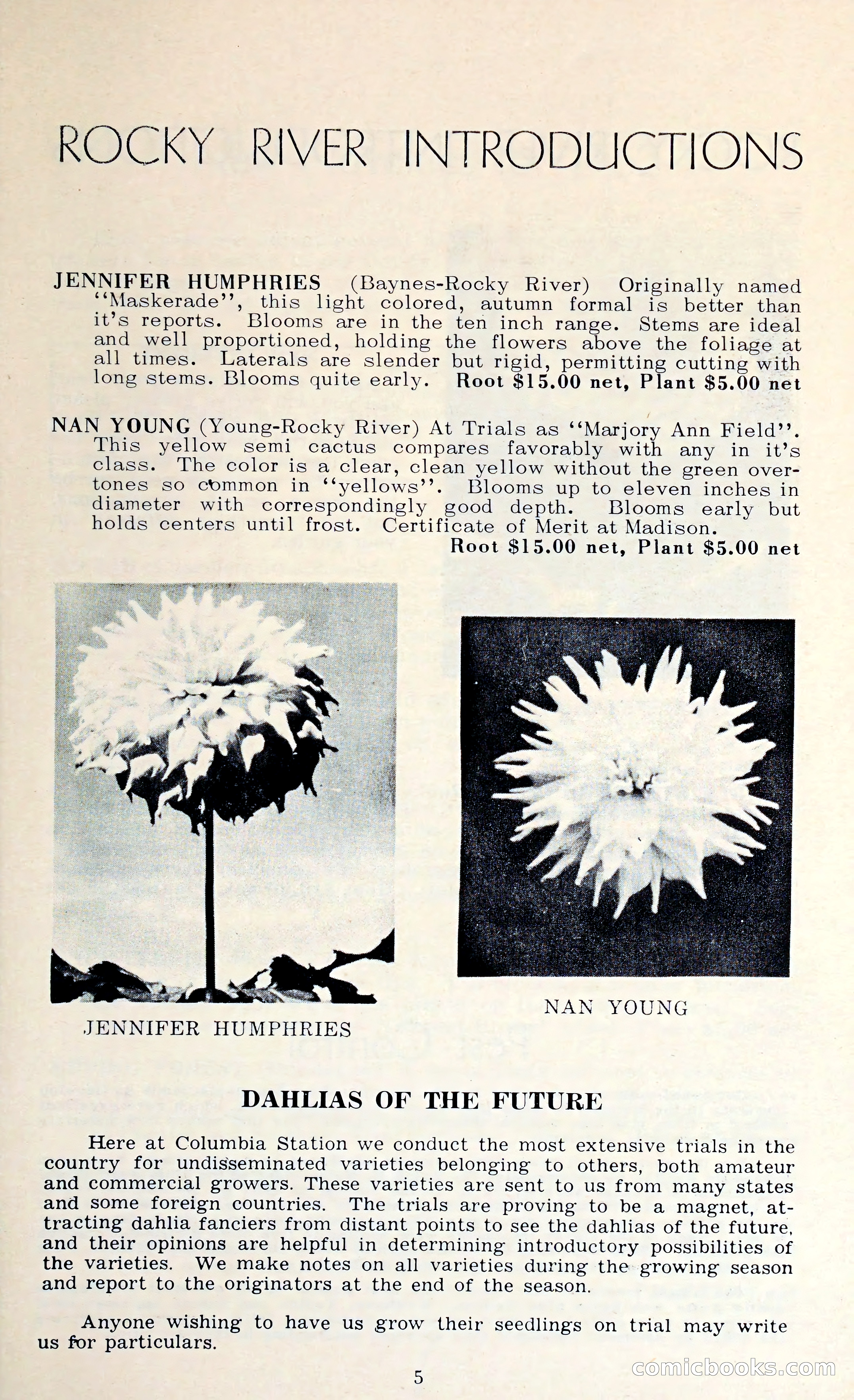 The Dahlia Blue Book for 1962 — page 8 of 71