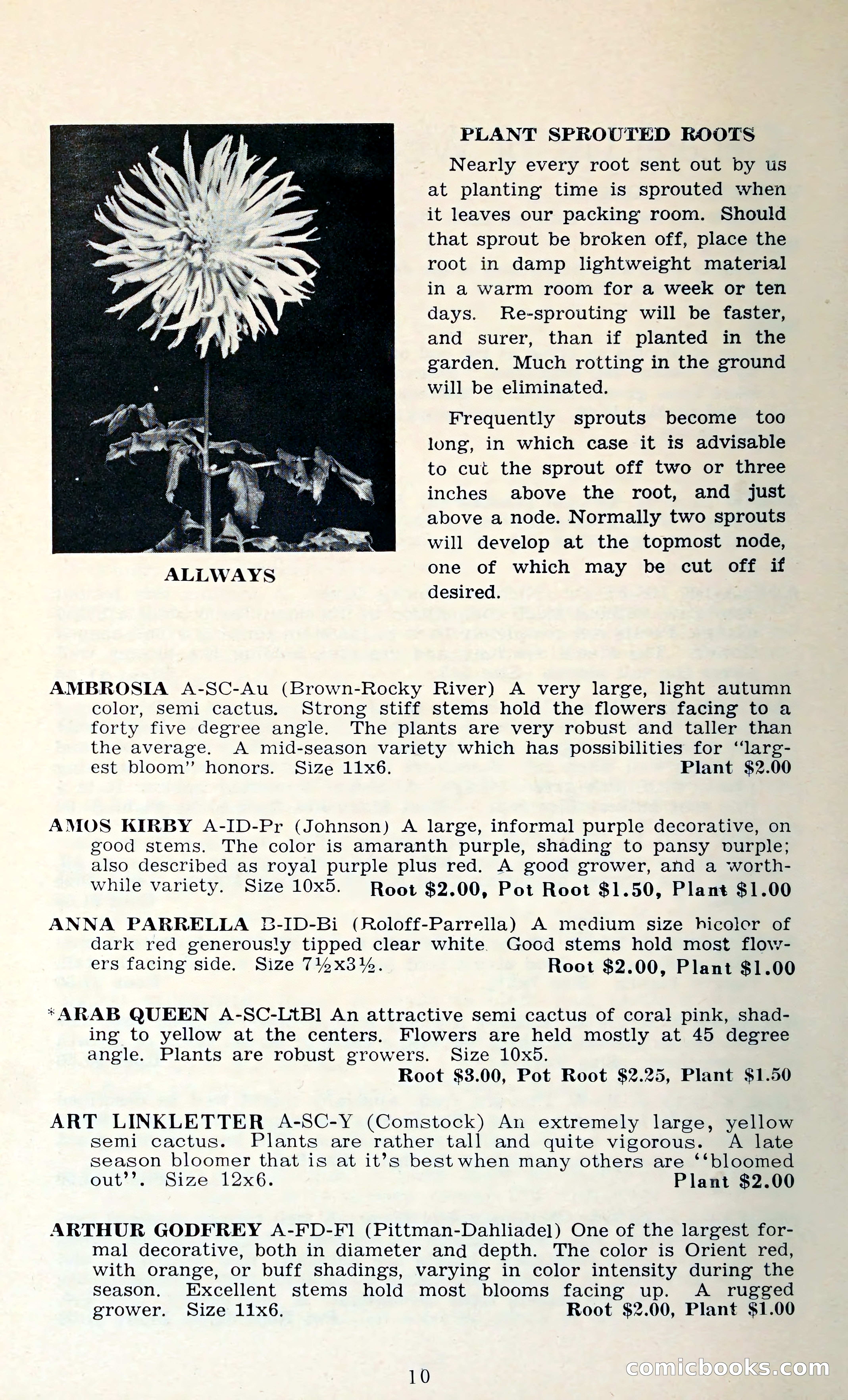 The Dahlia Blue Book for 1962 — page 13 of 71
