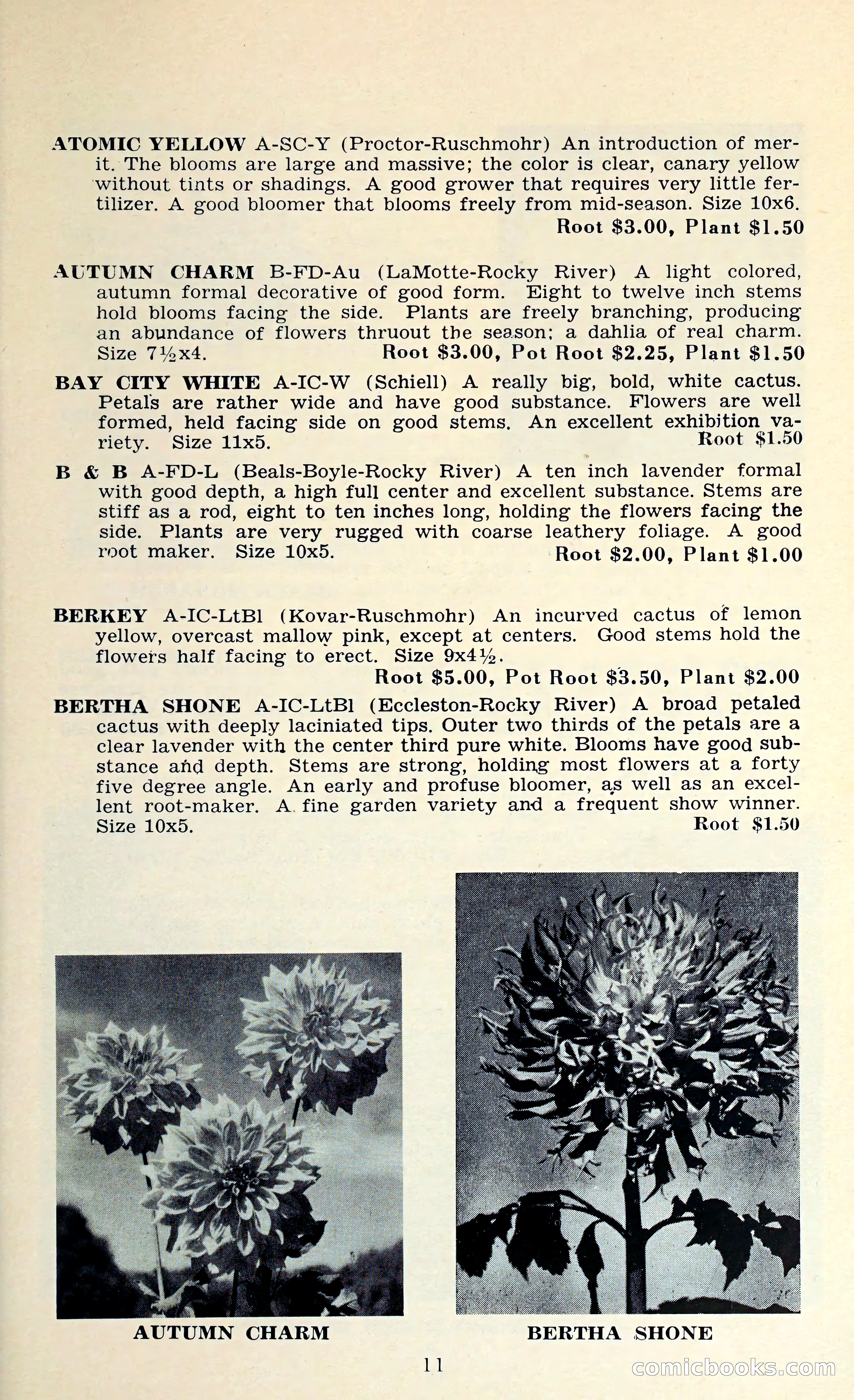 The Dahlia Blue Book for 1962 — page 14 of 71