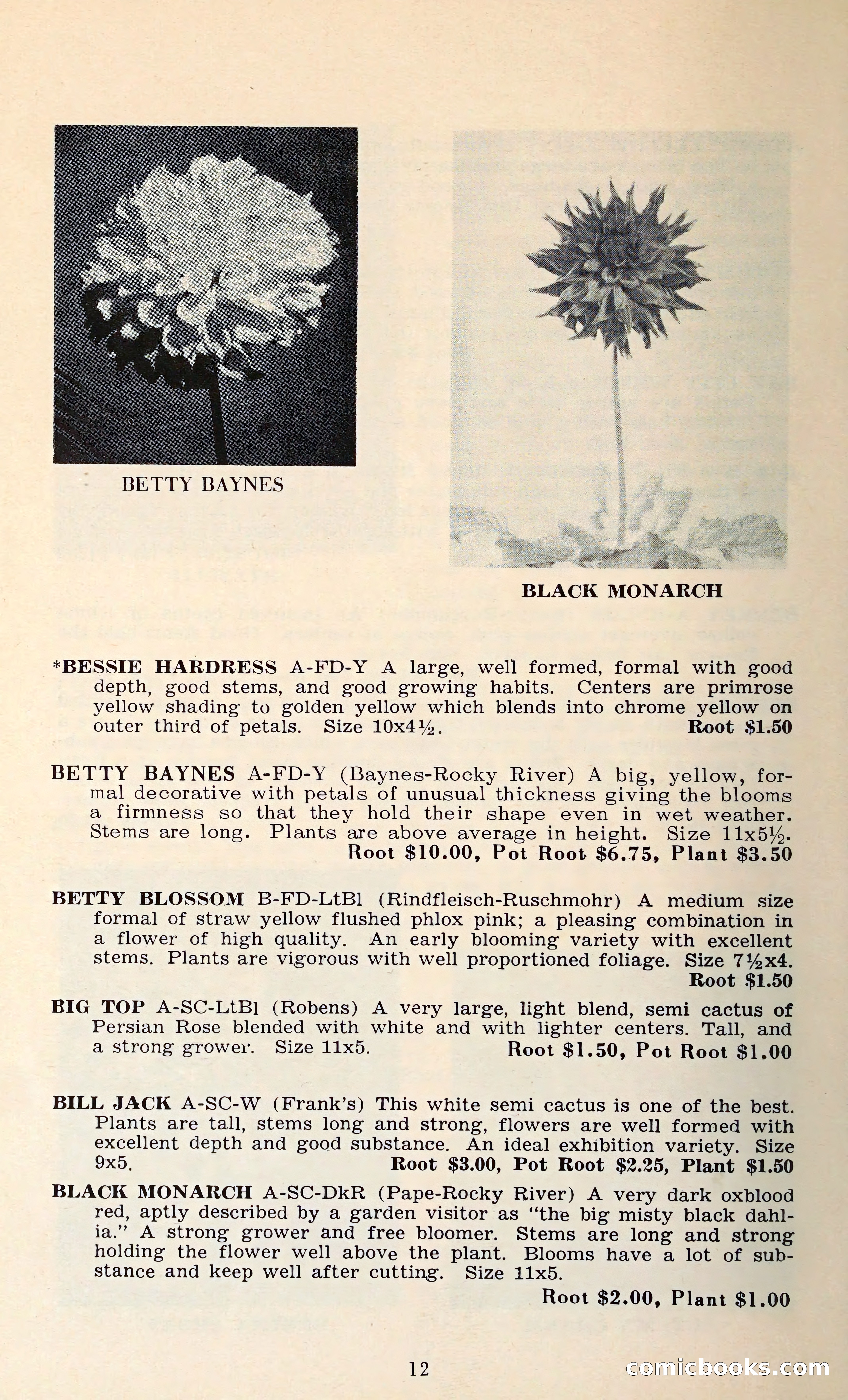 The Dahlia Blue Book for 1962 — page 15 of 71