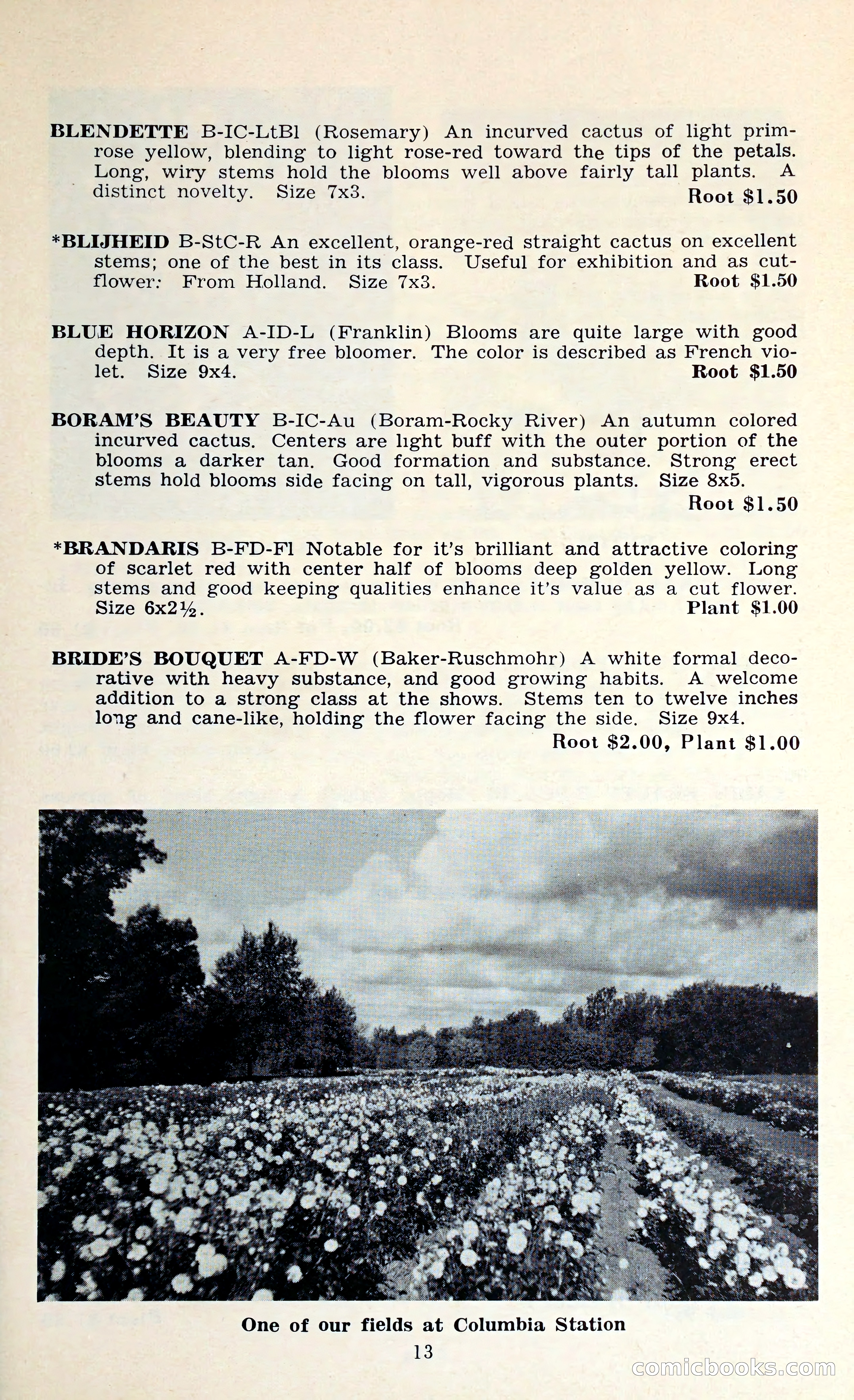 The Dahlia Blue Book for 1962 — page 16 of 71