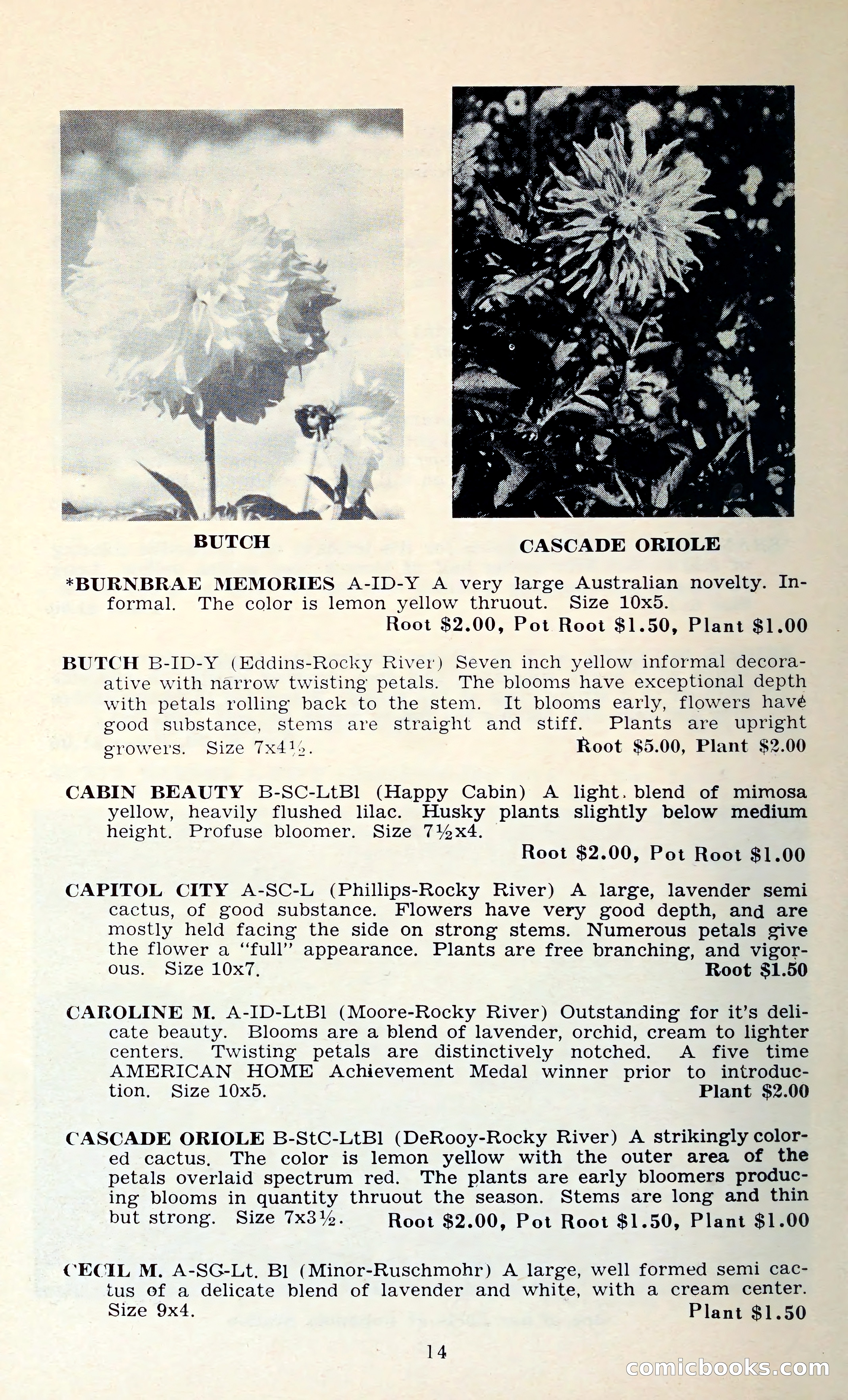 The Dahlia Blue Book for 1962 — page 17 of 71