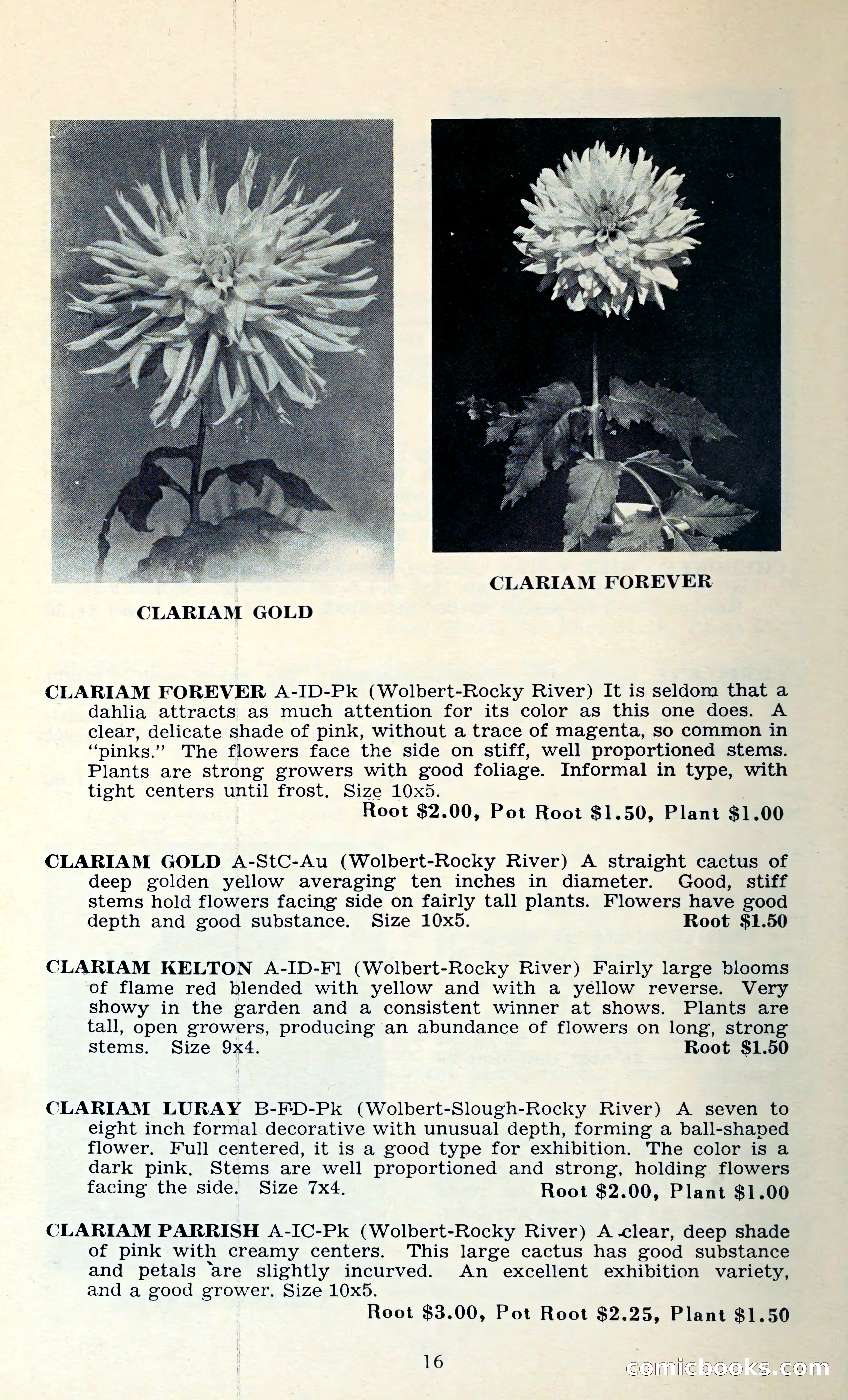 The Dahlia Blue Book for 1962 — page 19 of 71