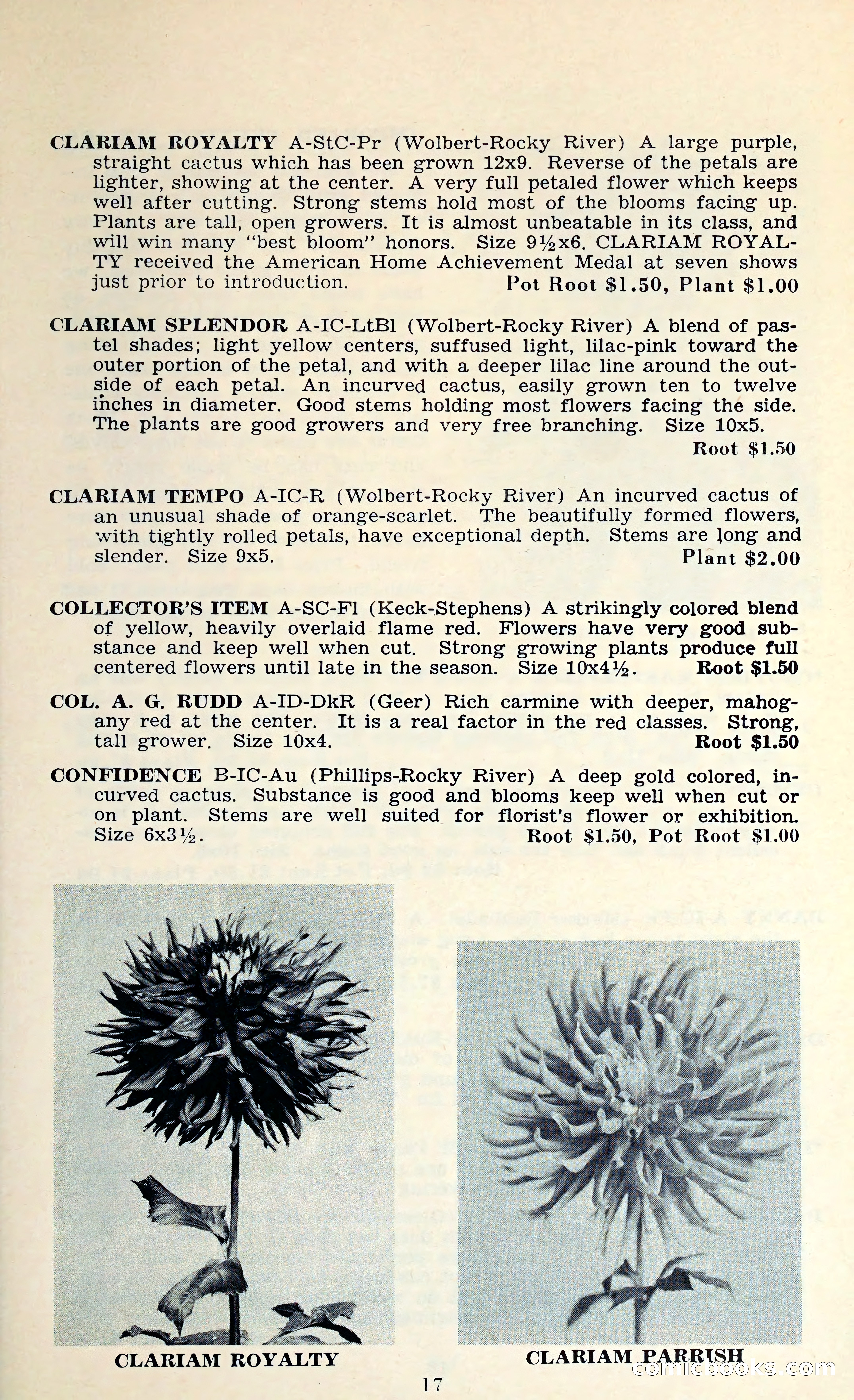 The Dahlia Blue Book for 1962 — page 20 of 71