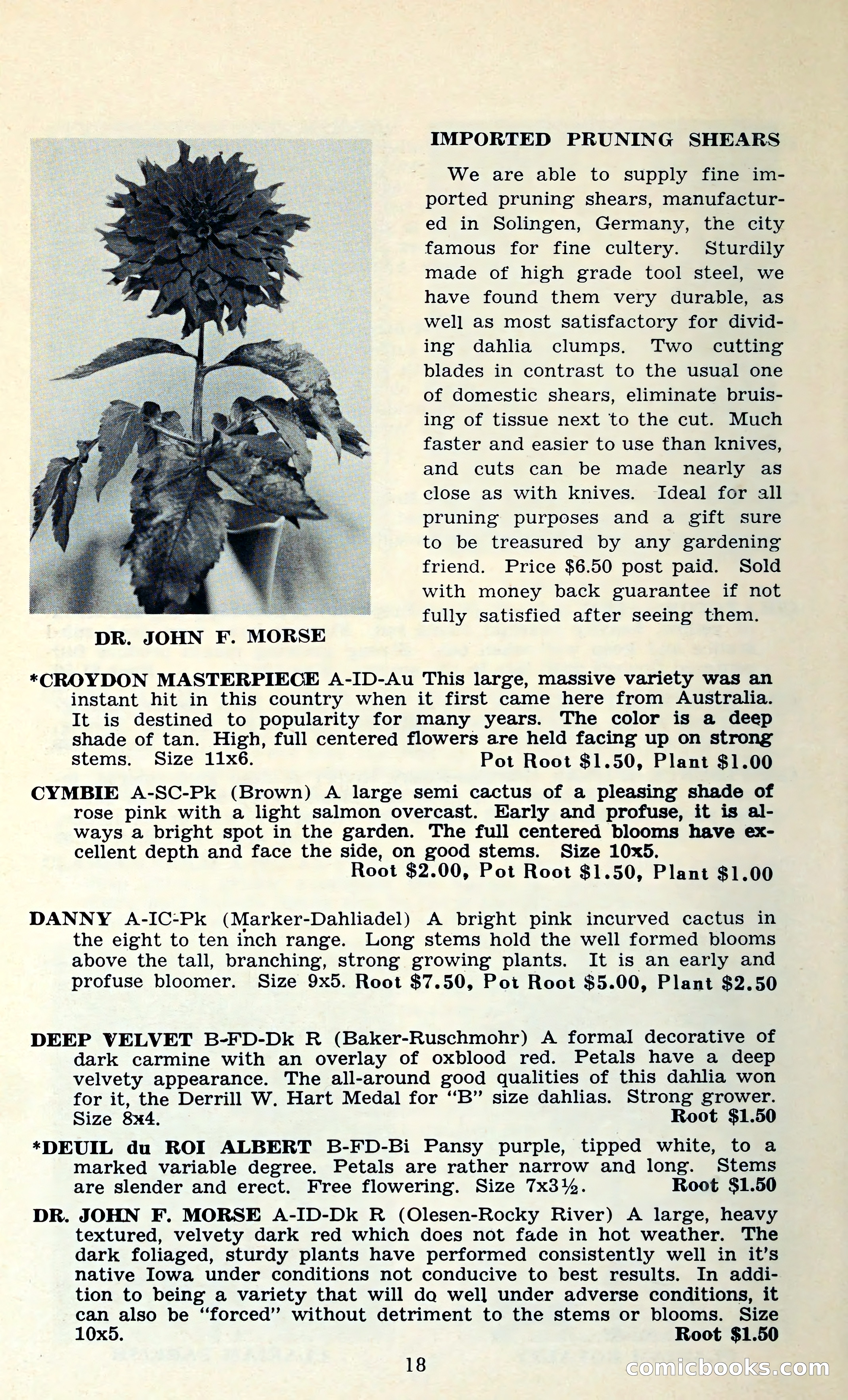 The Dahlia Blue Book for 1962 — page 21 of 71