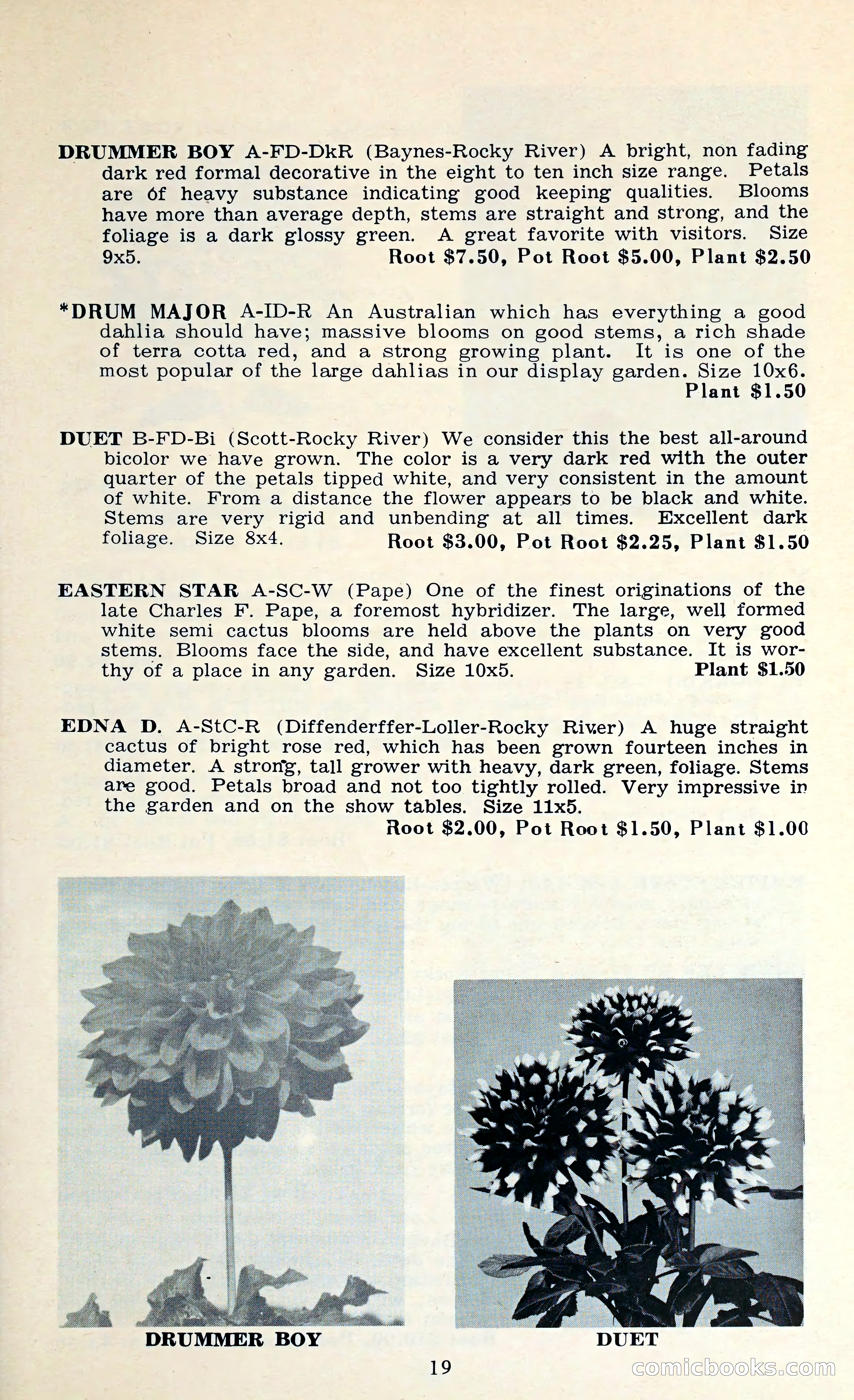 The Dahlia Blue Book for 1962 — page 22 of 71