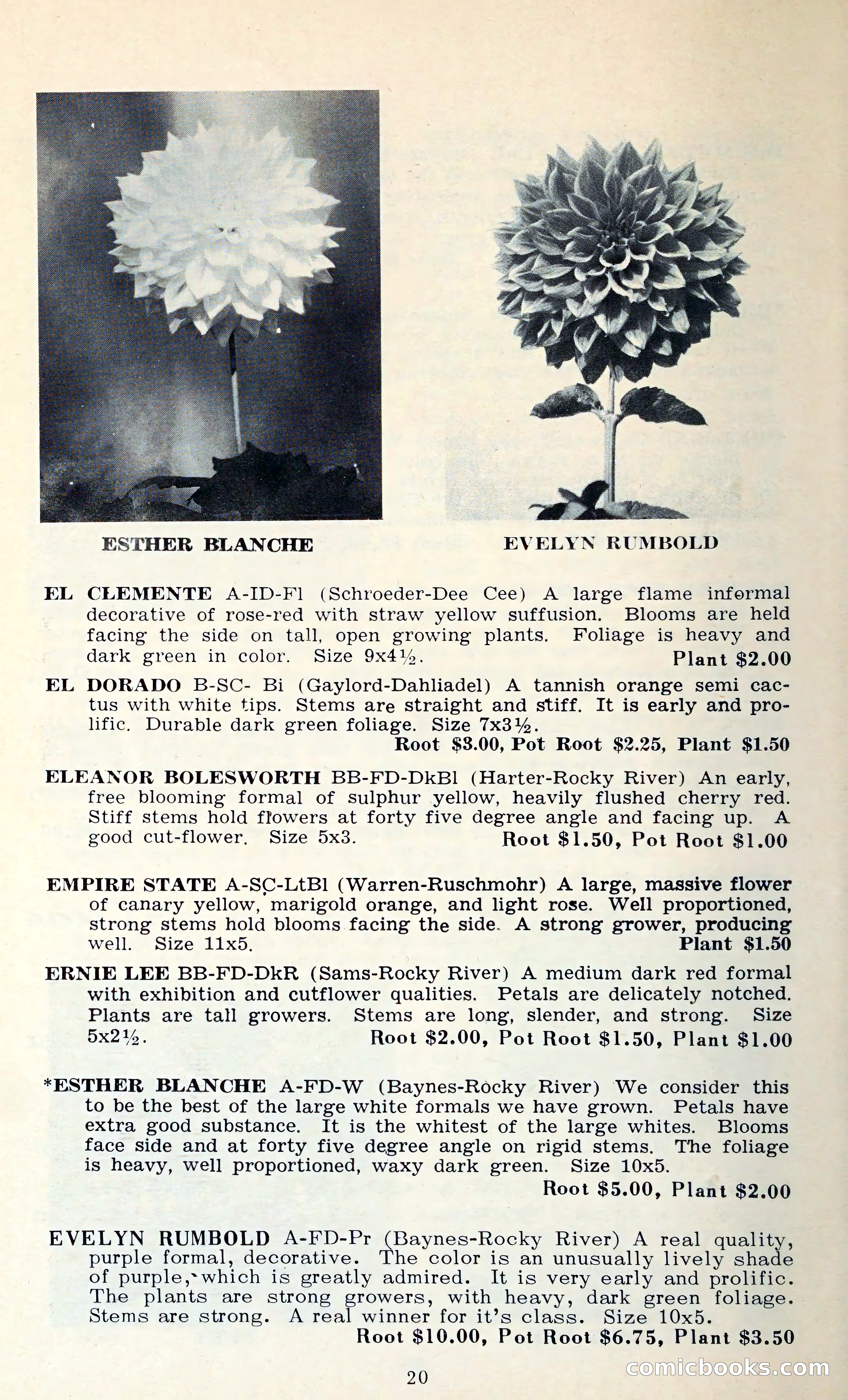 The Dahlia Blue Book for 1962 — page 23 of 71