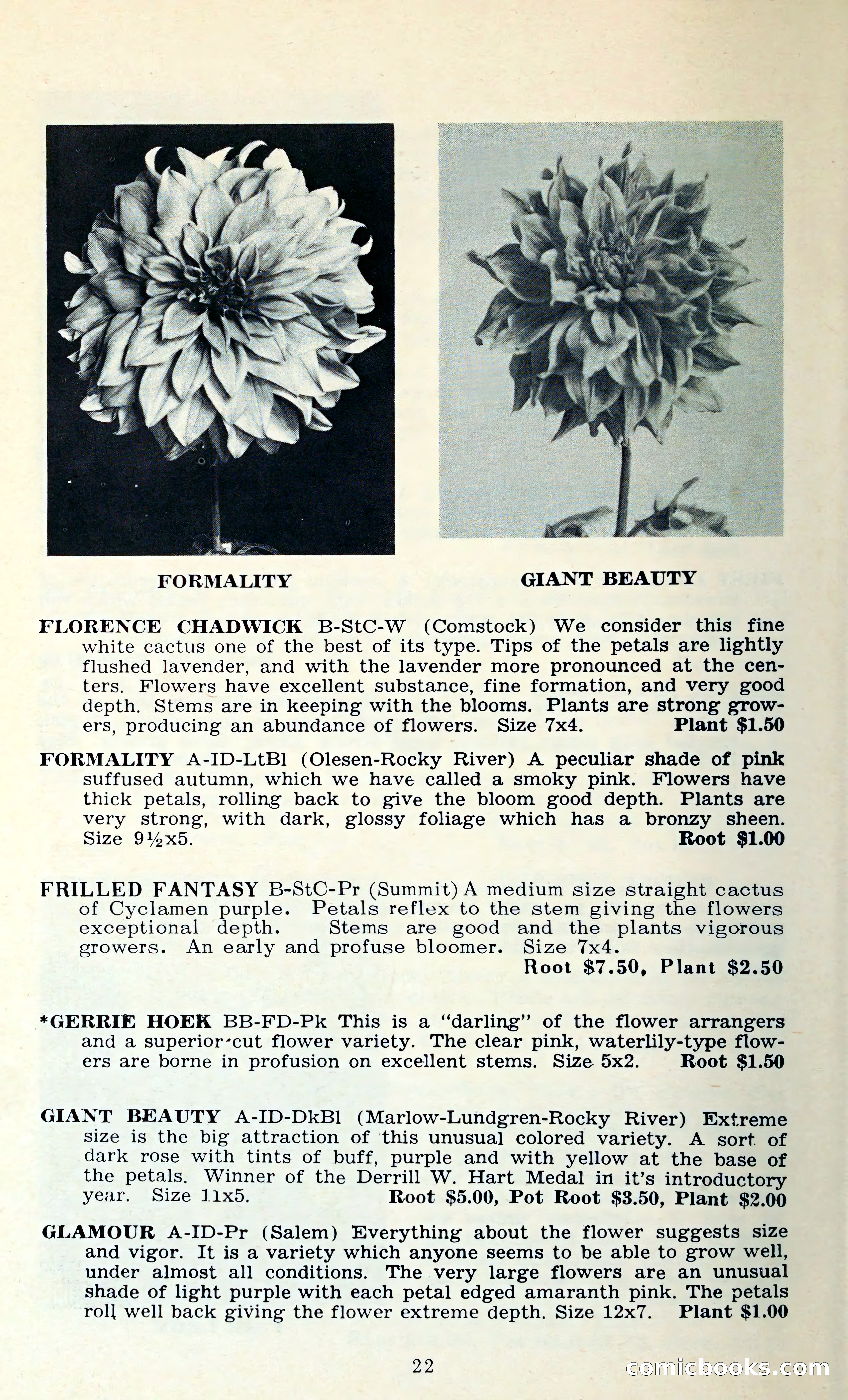 The Dahlia Blue Book for 1962 — page 25 of 71