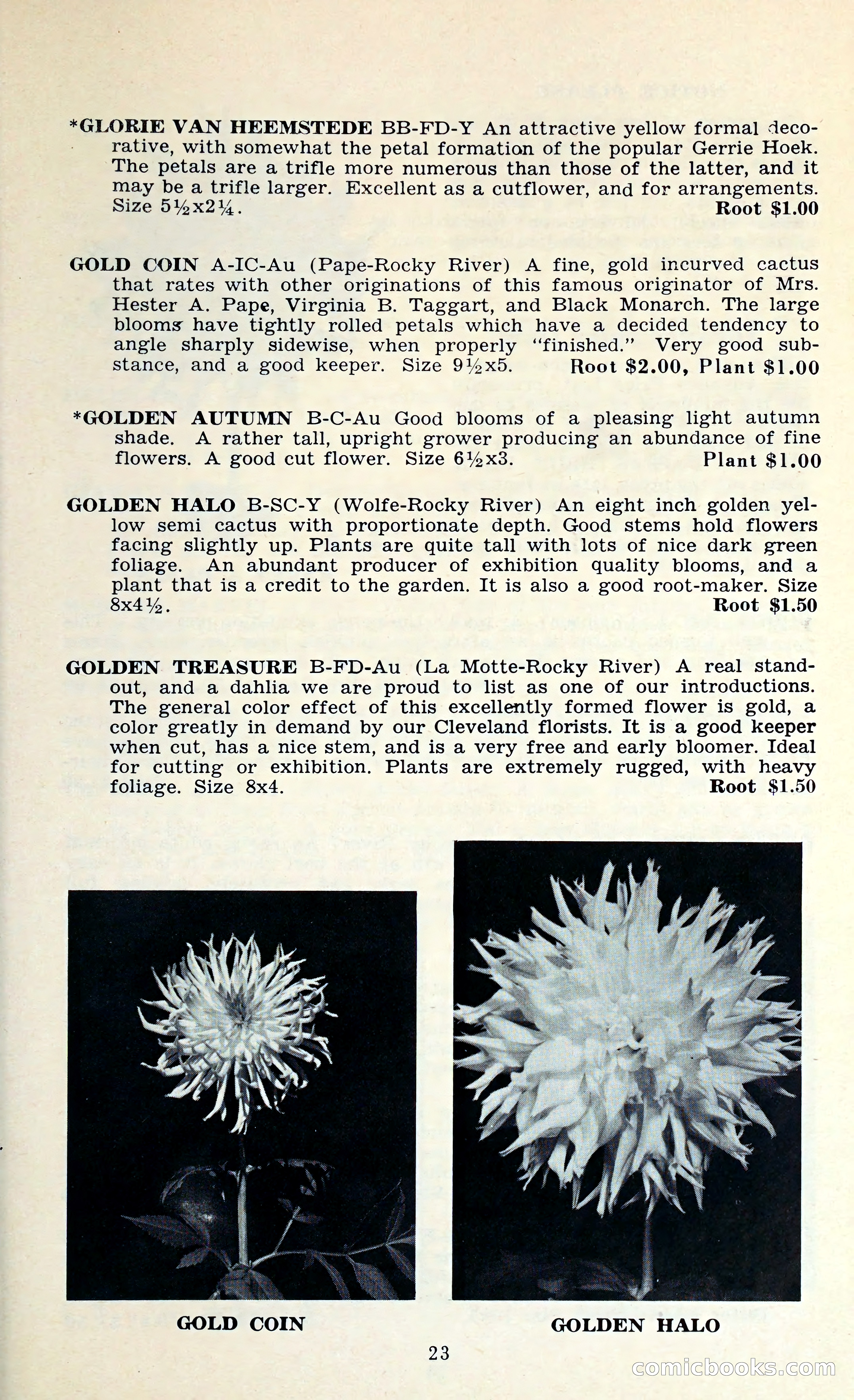 The Dahlia Blue Book for 1962 — page 26 of 71