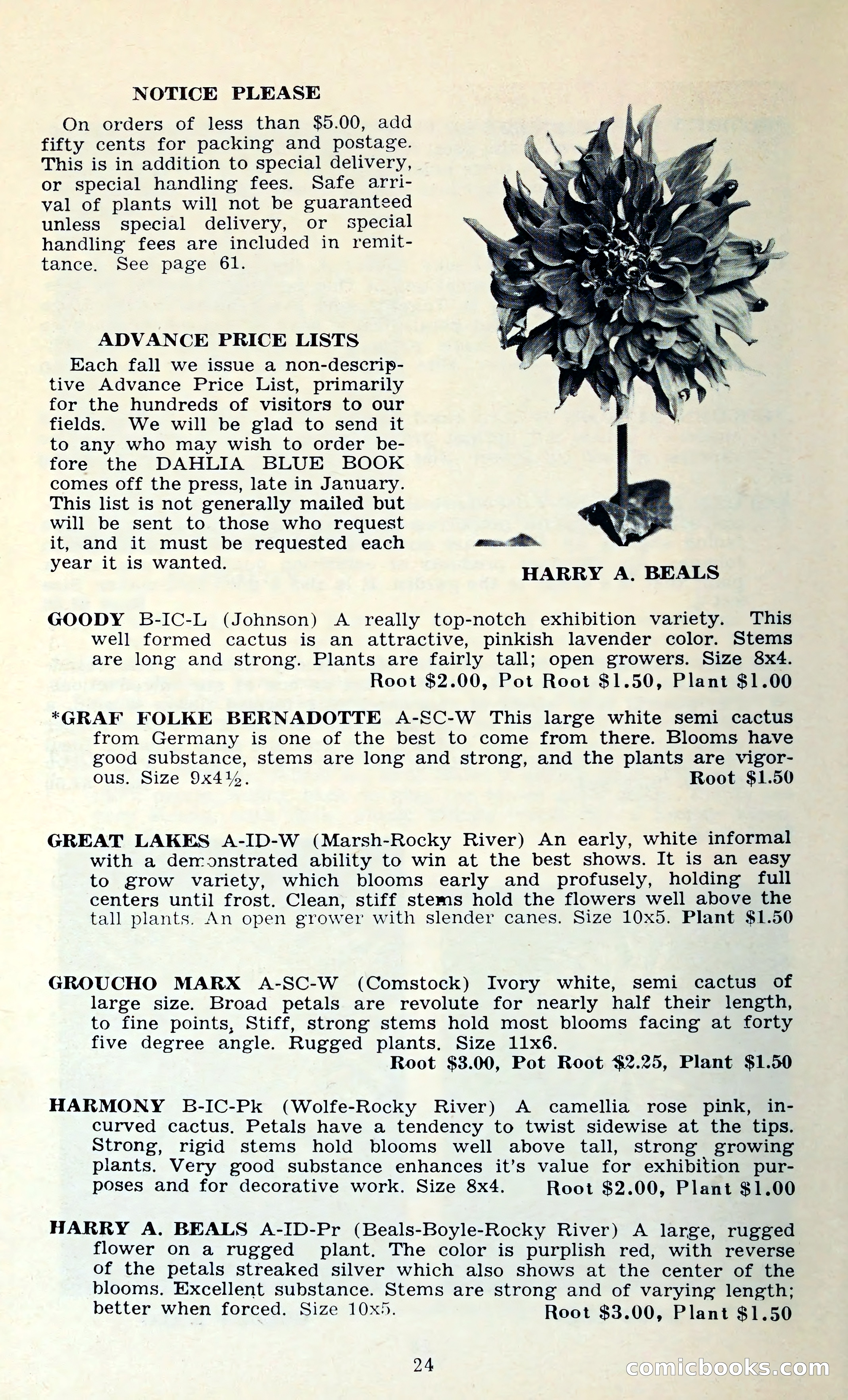 The Dahlia Blue Book for 1962 — page 27 of 71