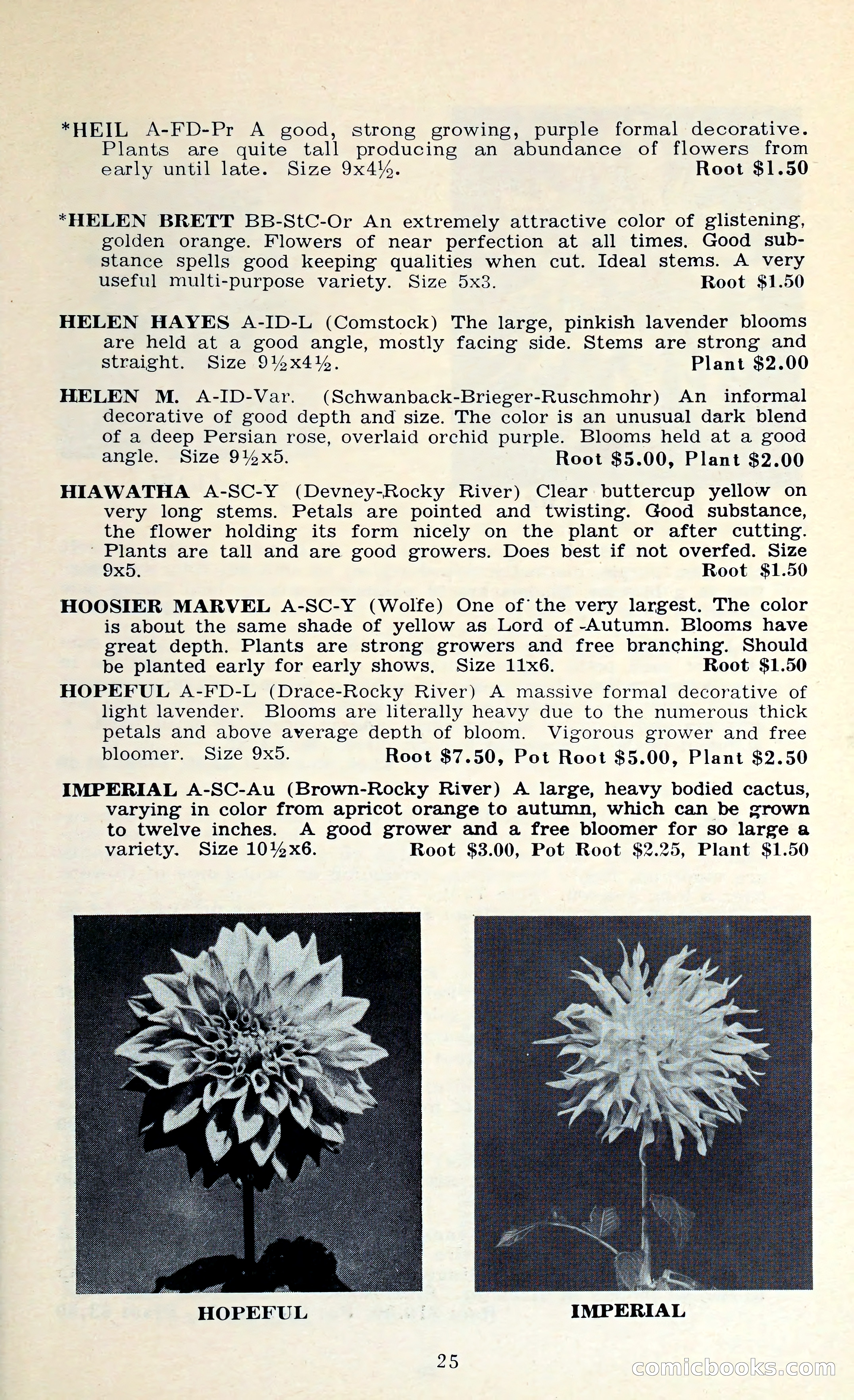 The Dahlia Blue Book for 1962 — page 28 of 71