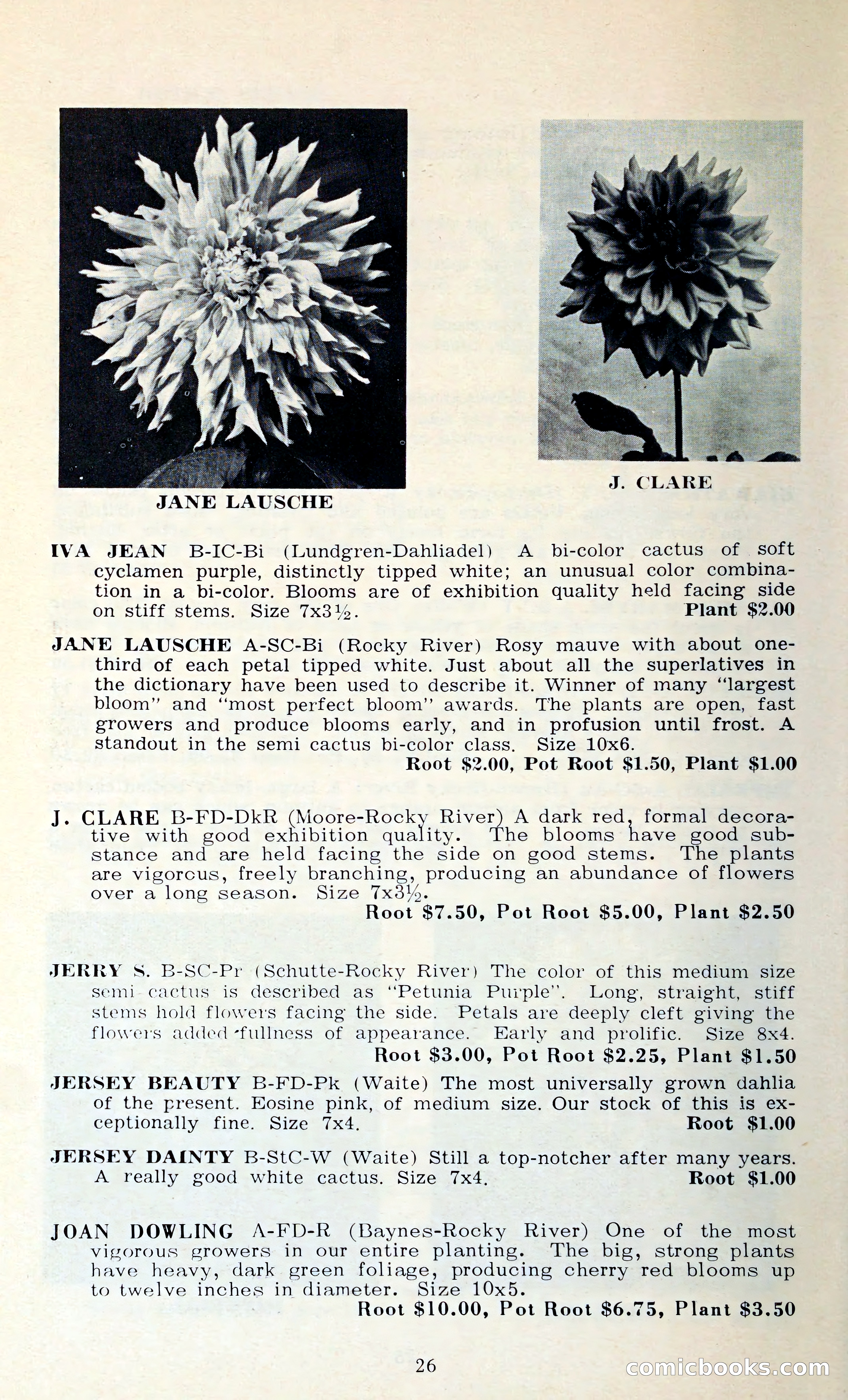 The Dahlia Blue Book for 1962 — page 29 of 71
