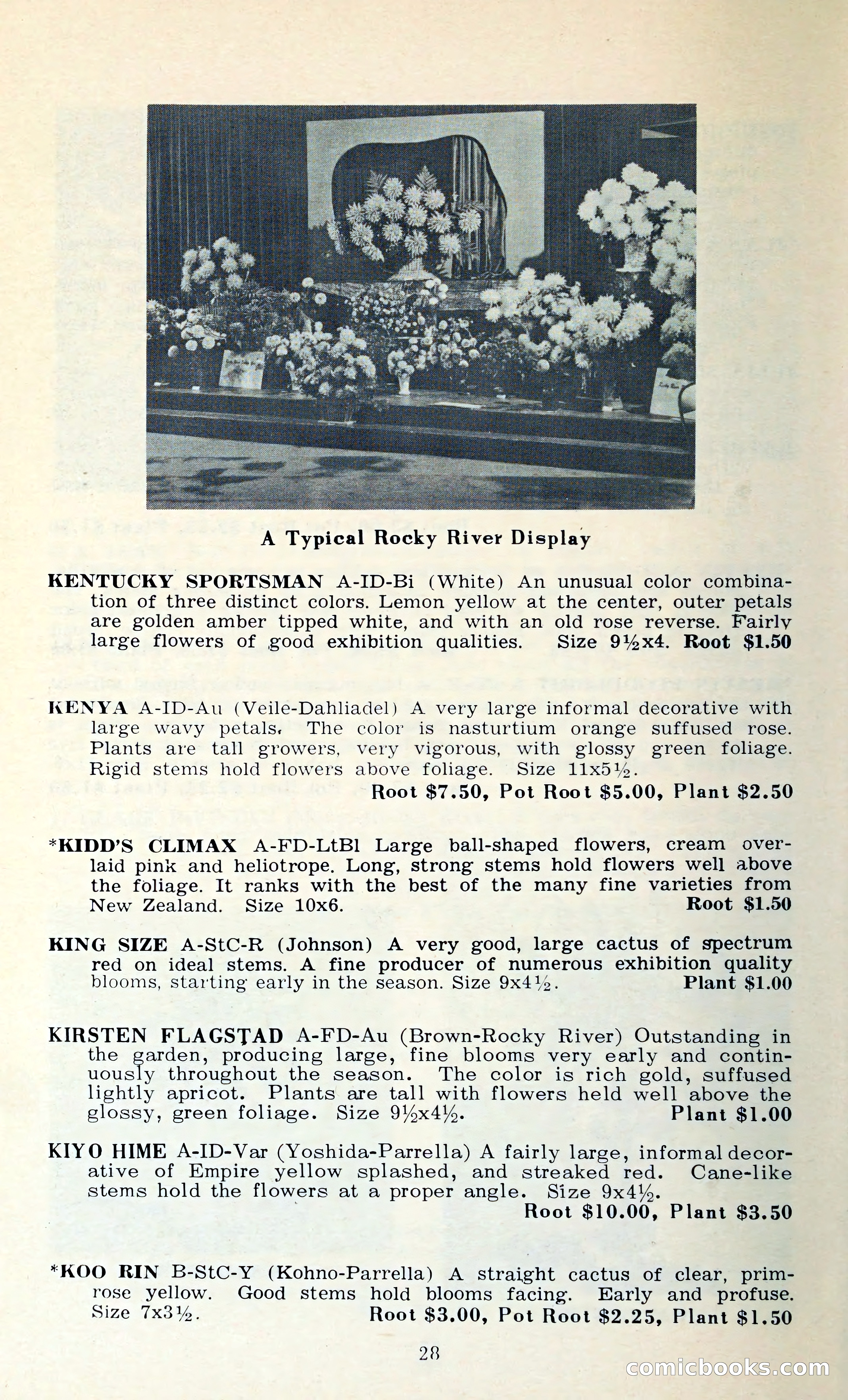 The Dahlia Blue Book for 1962 — page 31 of 71