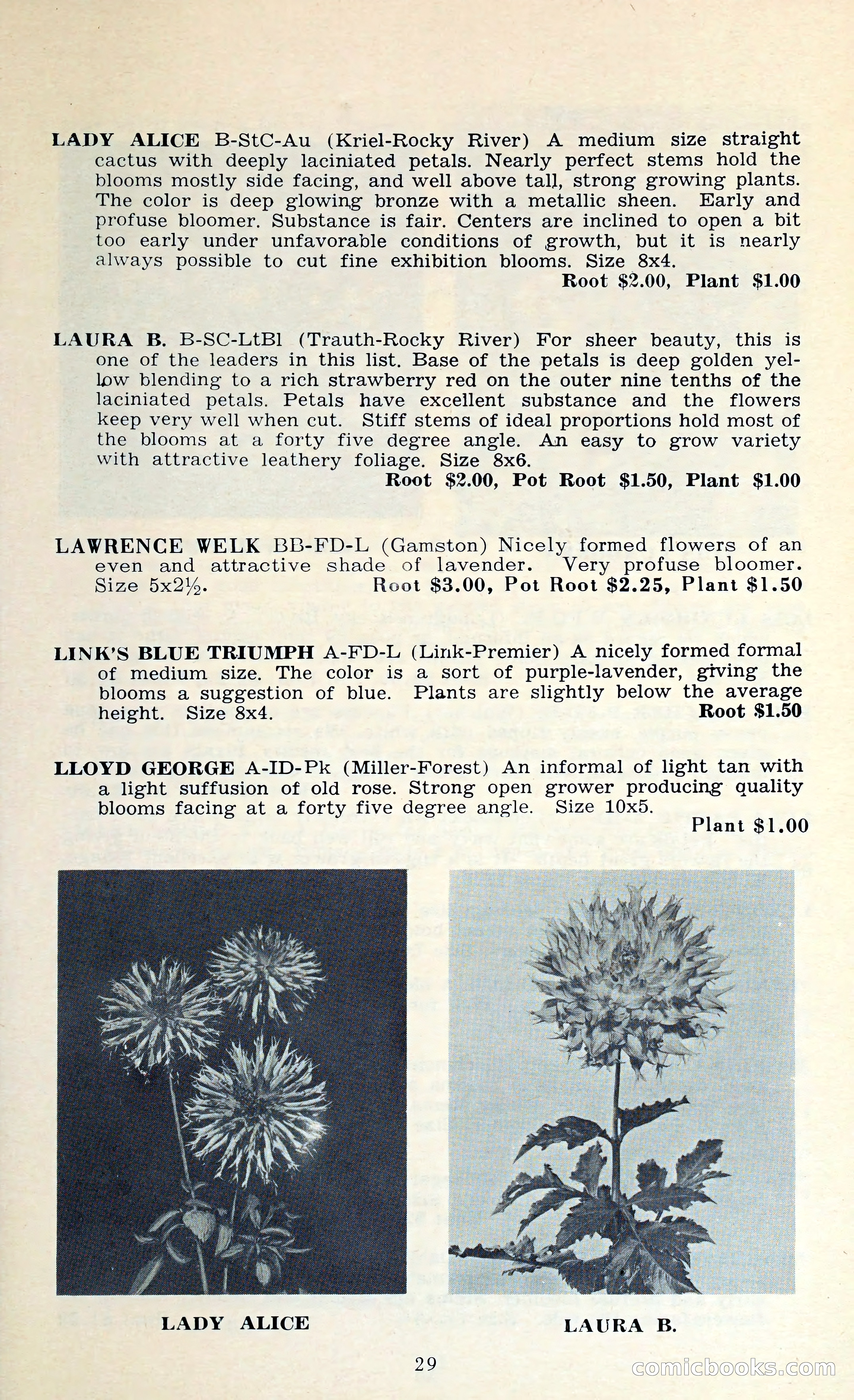 The Dahlia Blue Book for 1962 — page 32 of 71