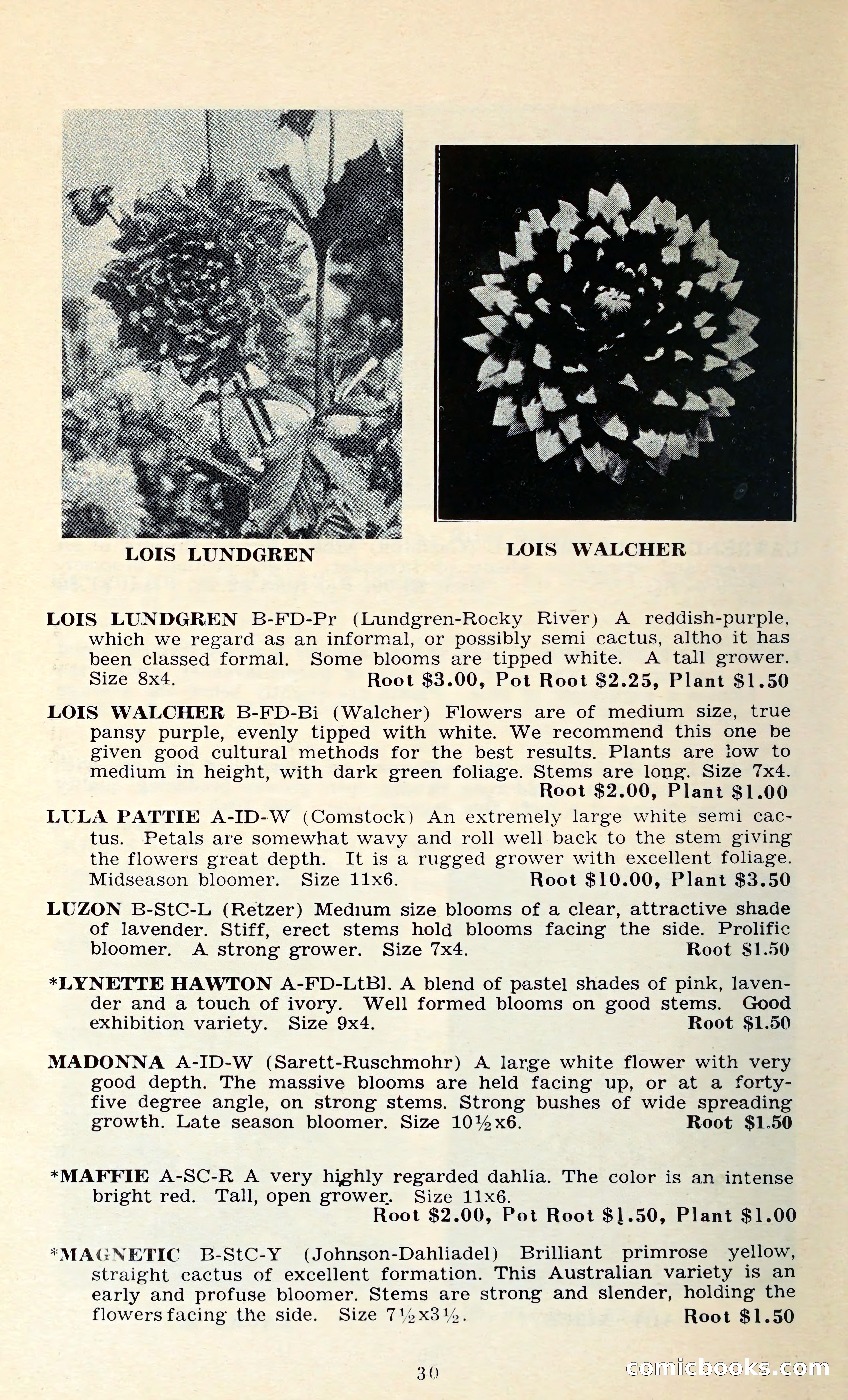 The Dahlia Blue Book for 1962 — page 33 of 71