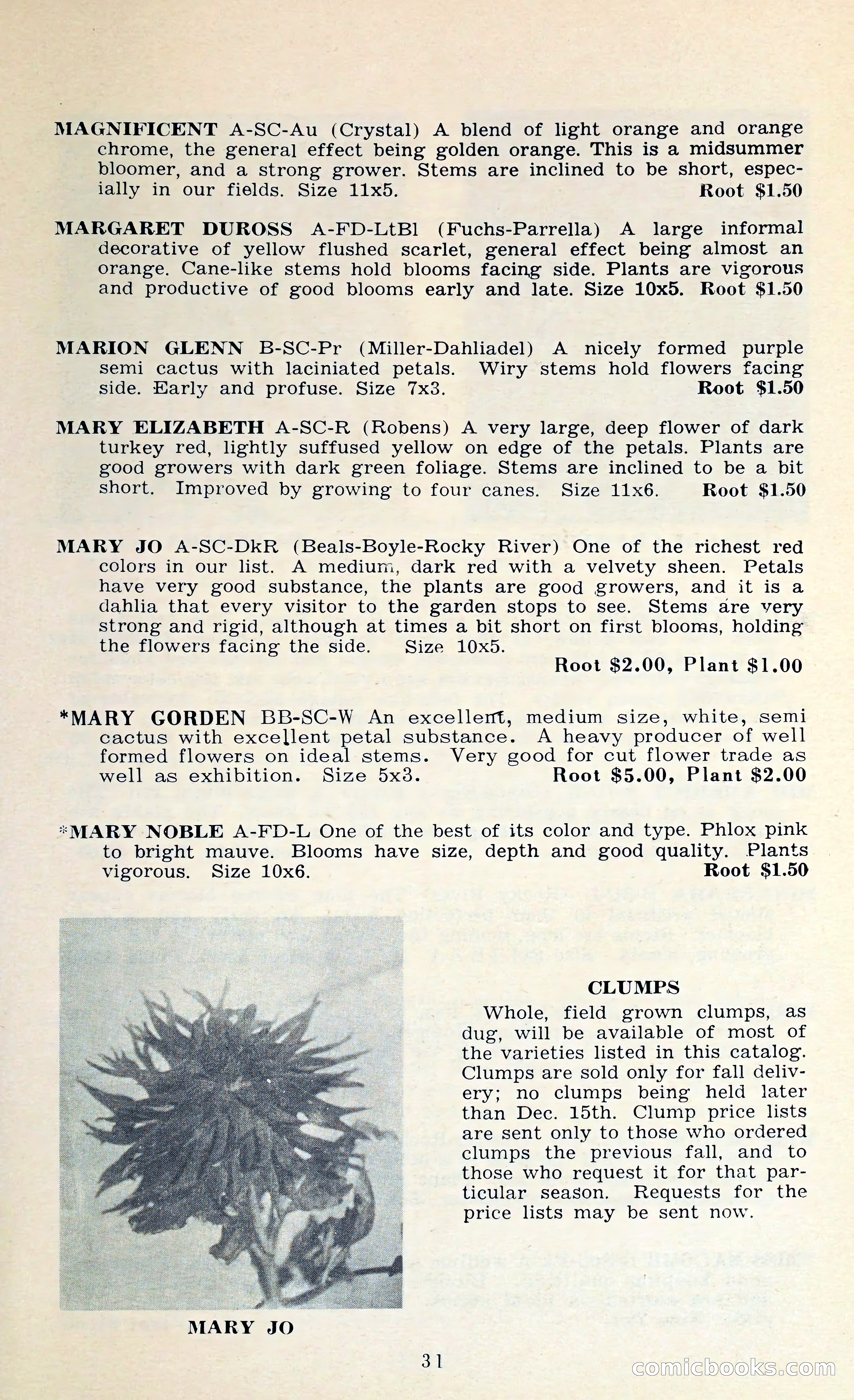 The Dahlia Blue Book for 1962 — page 34 of 71