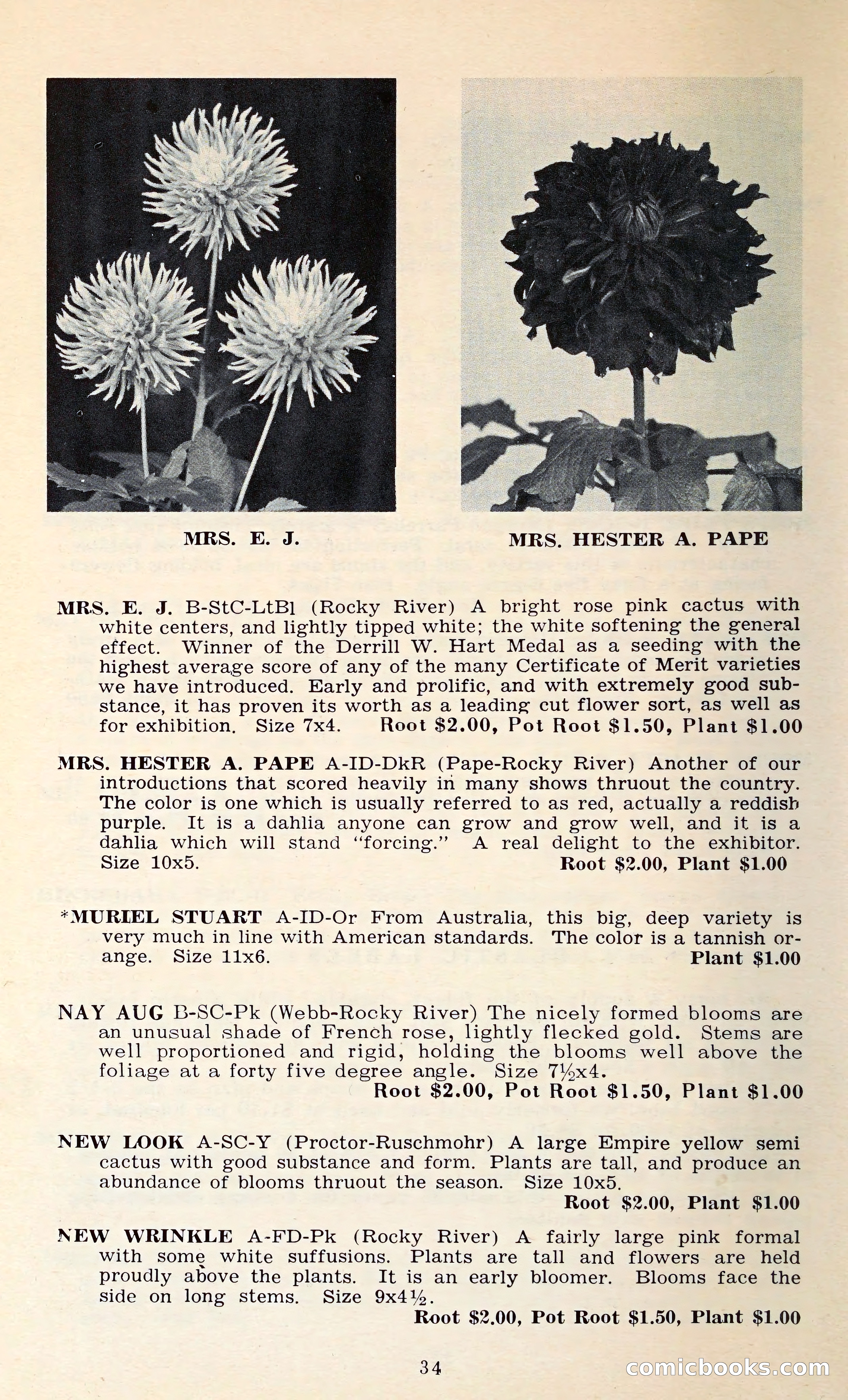 The Dahlia Blue Book for 1962 — page 37 of 71
