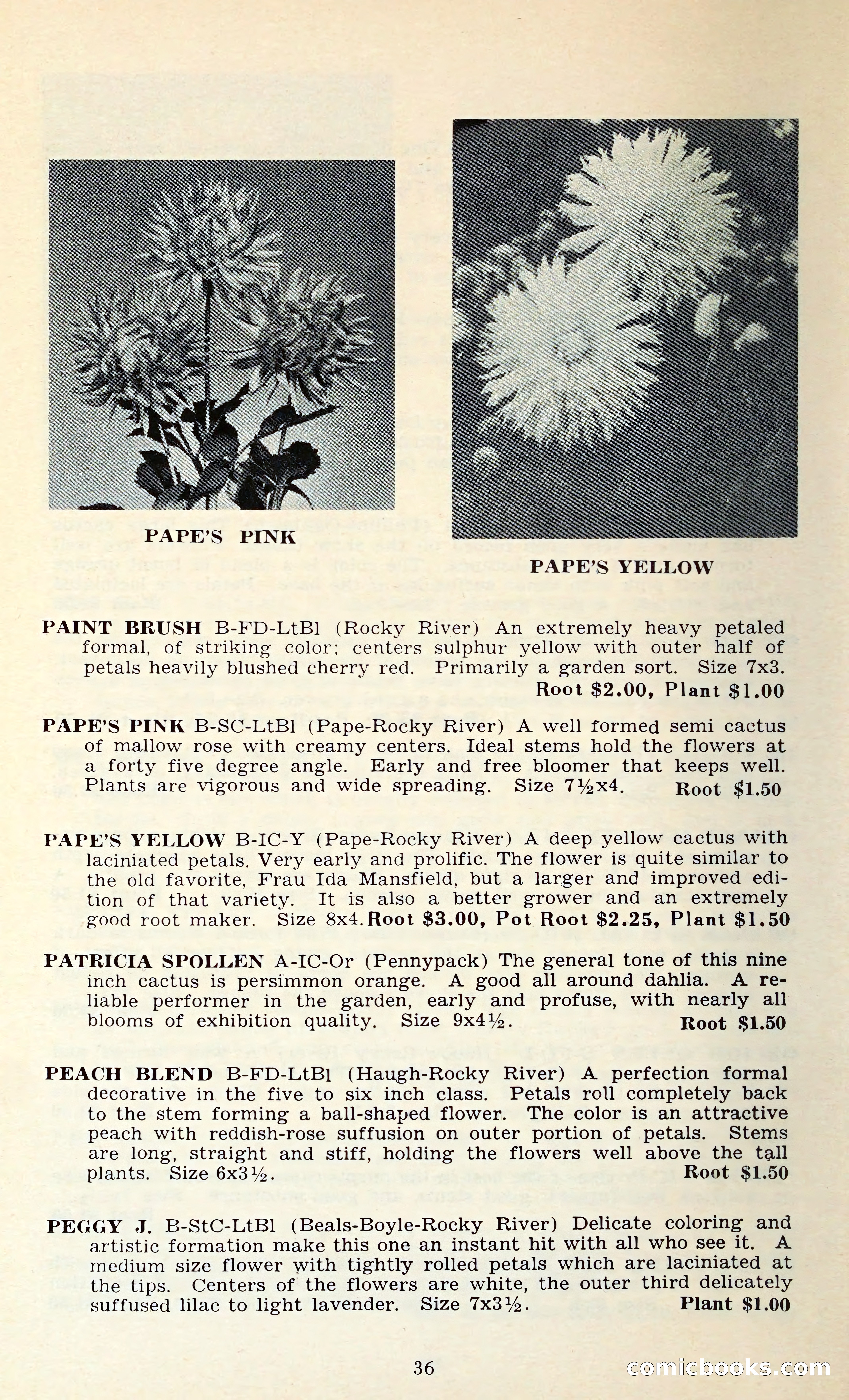 The Dahlia Blue Book for 1962 — page 39 of 71