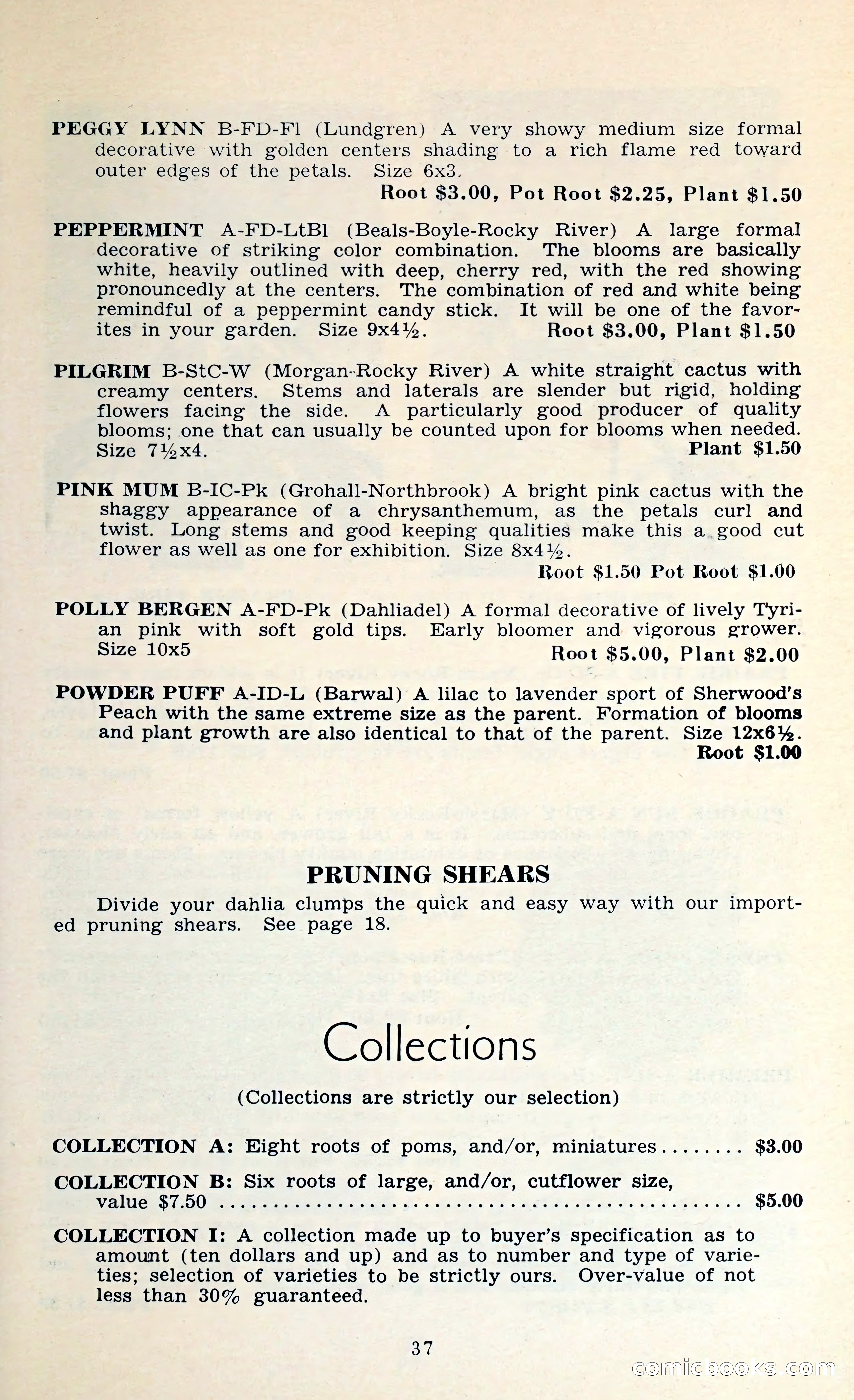 The Dahlia Blue Book for 1962 — page 40 of 71