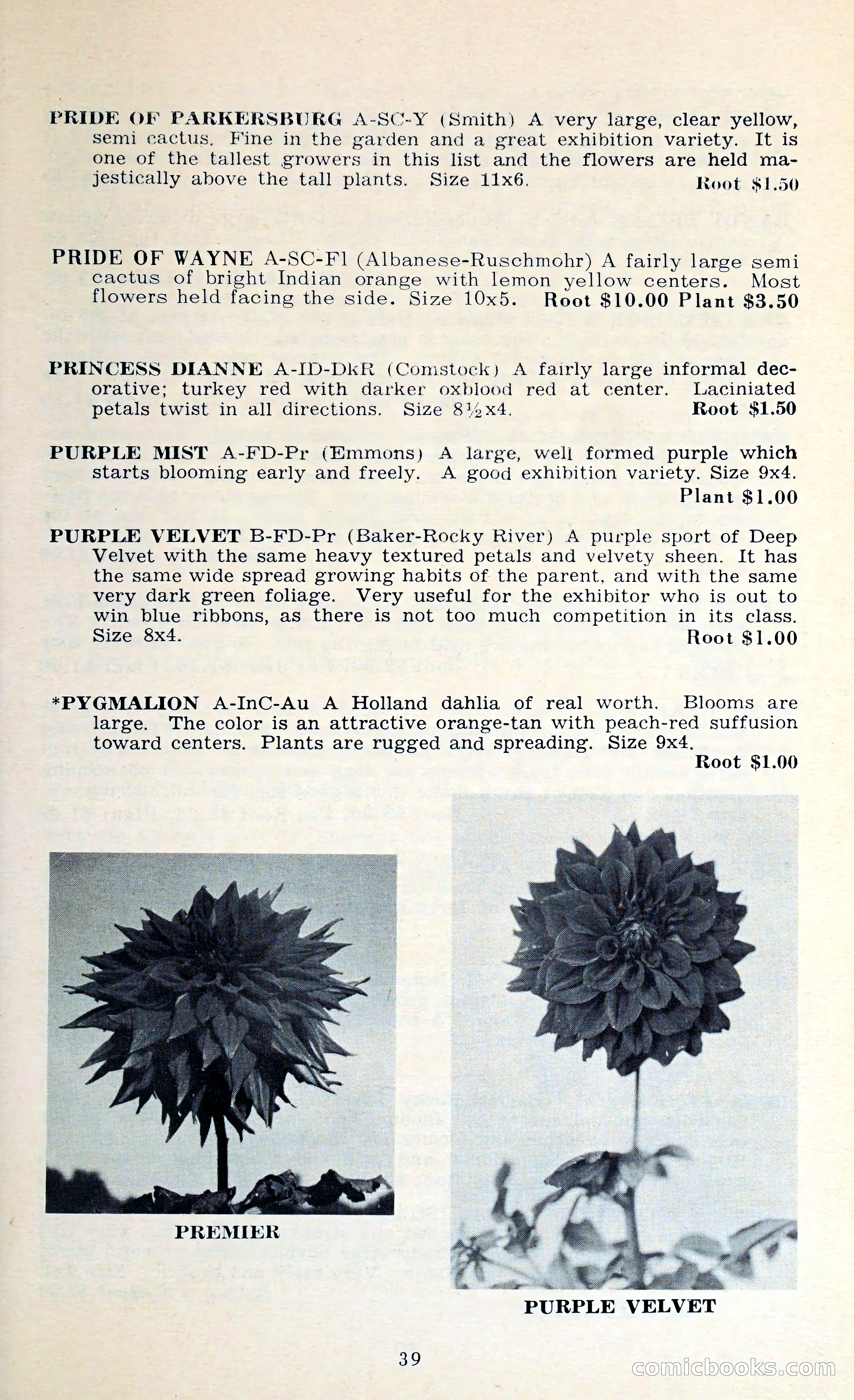 The Dahlia Blue Book for 1962 — page 42 of 71