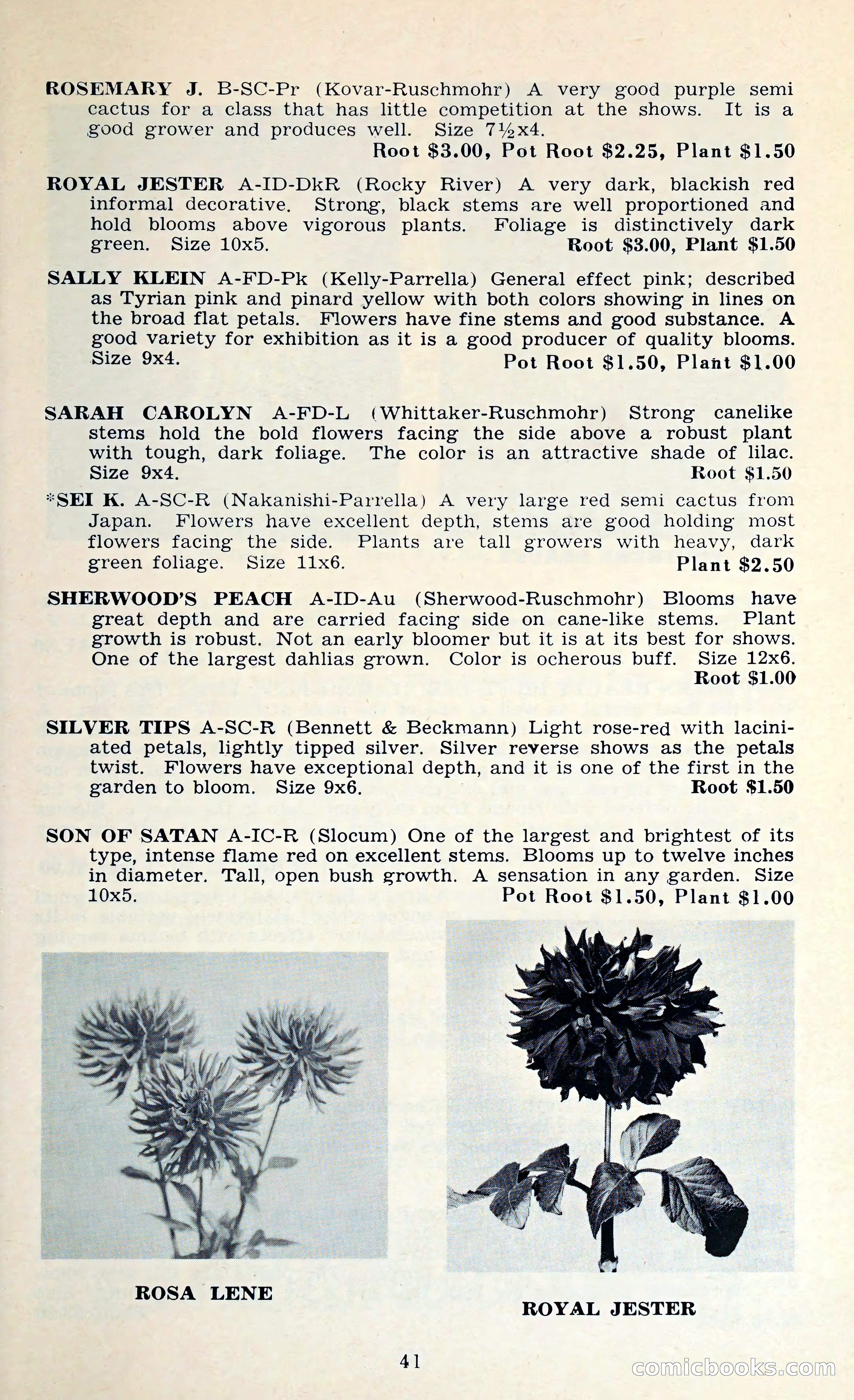 The Dahlia Blue Book for 1962 — page 44 of 71