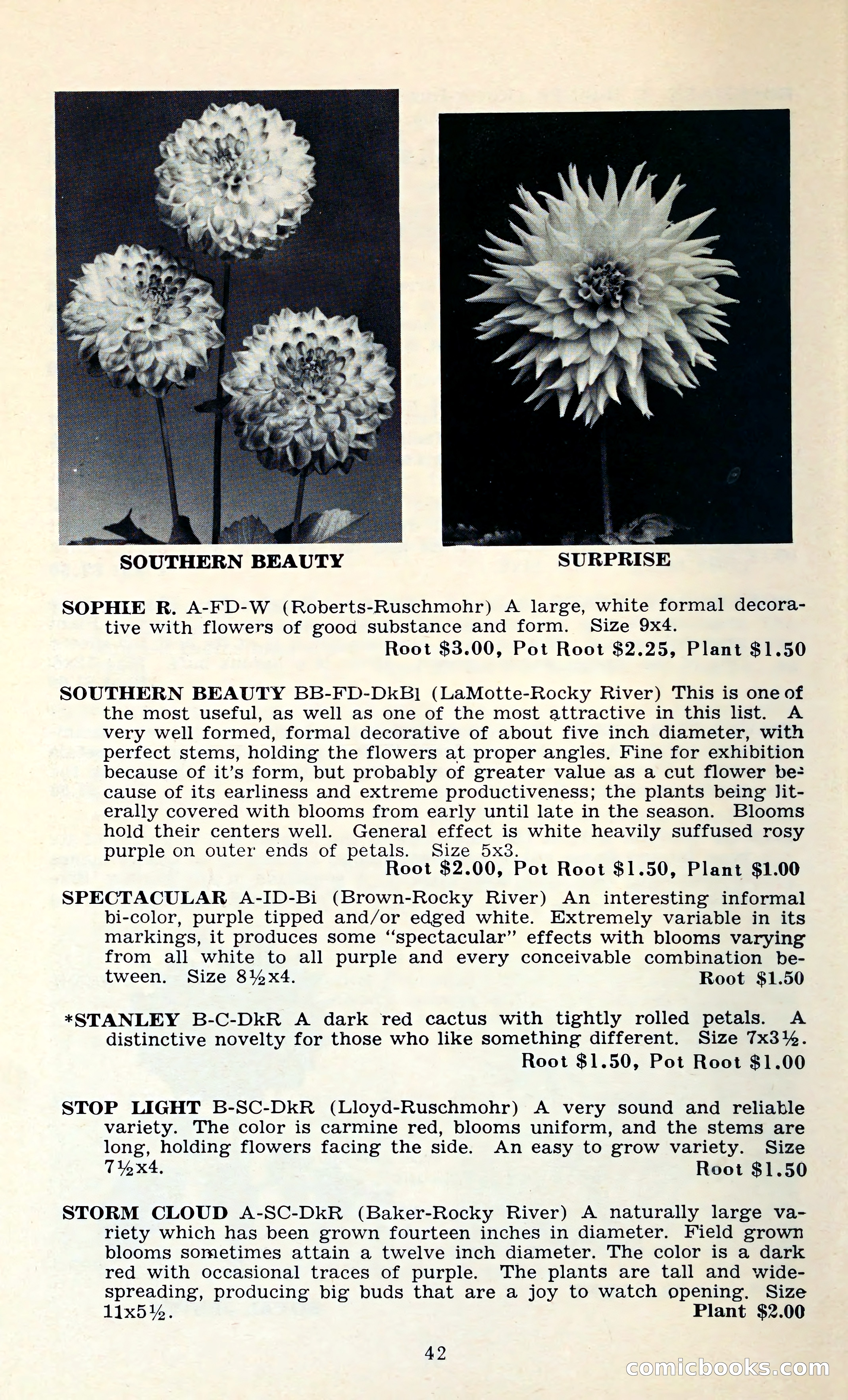 The Dahlia Blue Book for 1962 — page 45 of 71