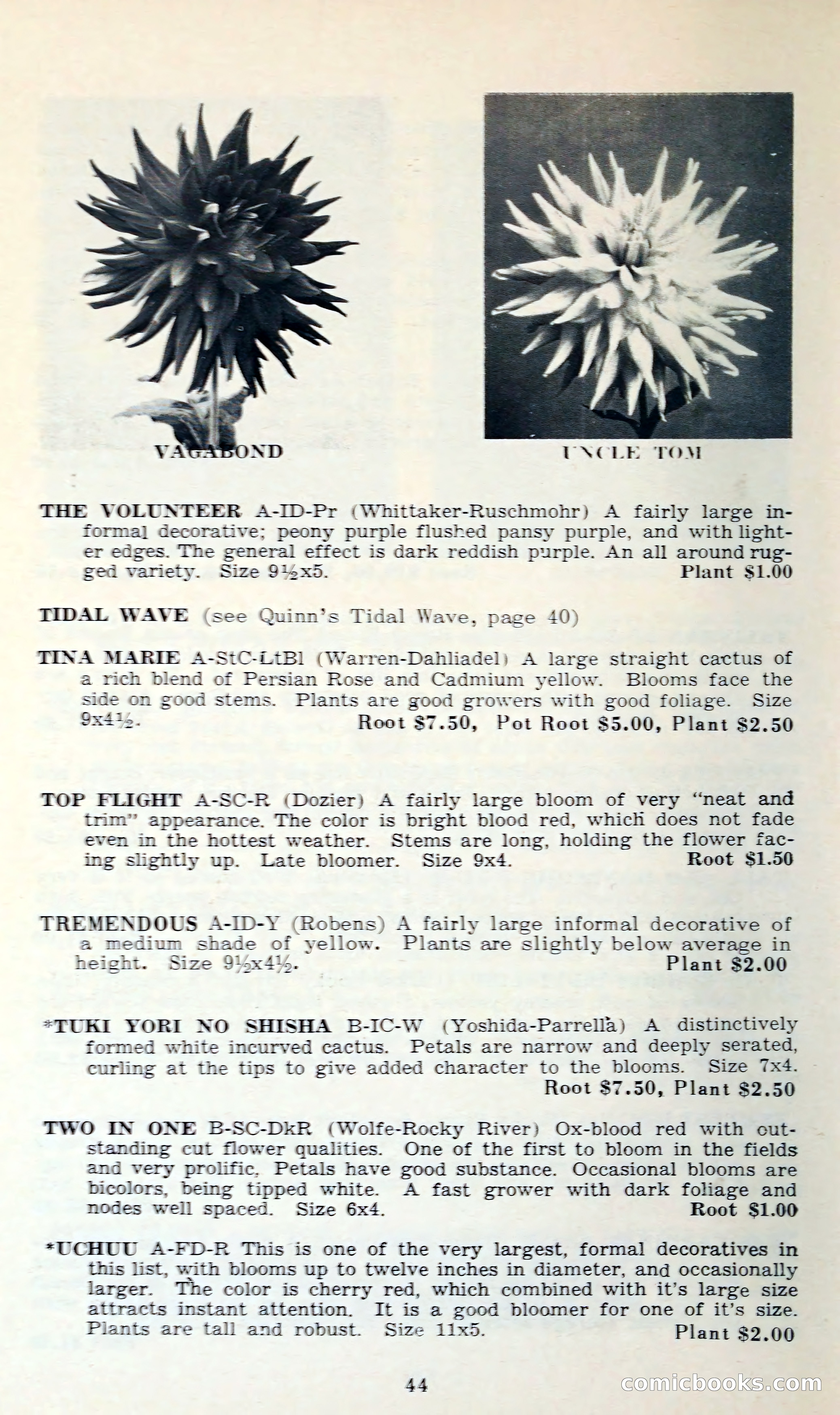 The Dahlia Blue Book for 1962 — page 47 of 71