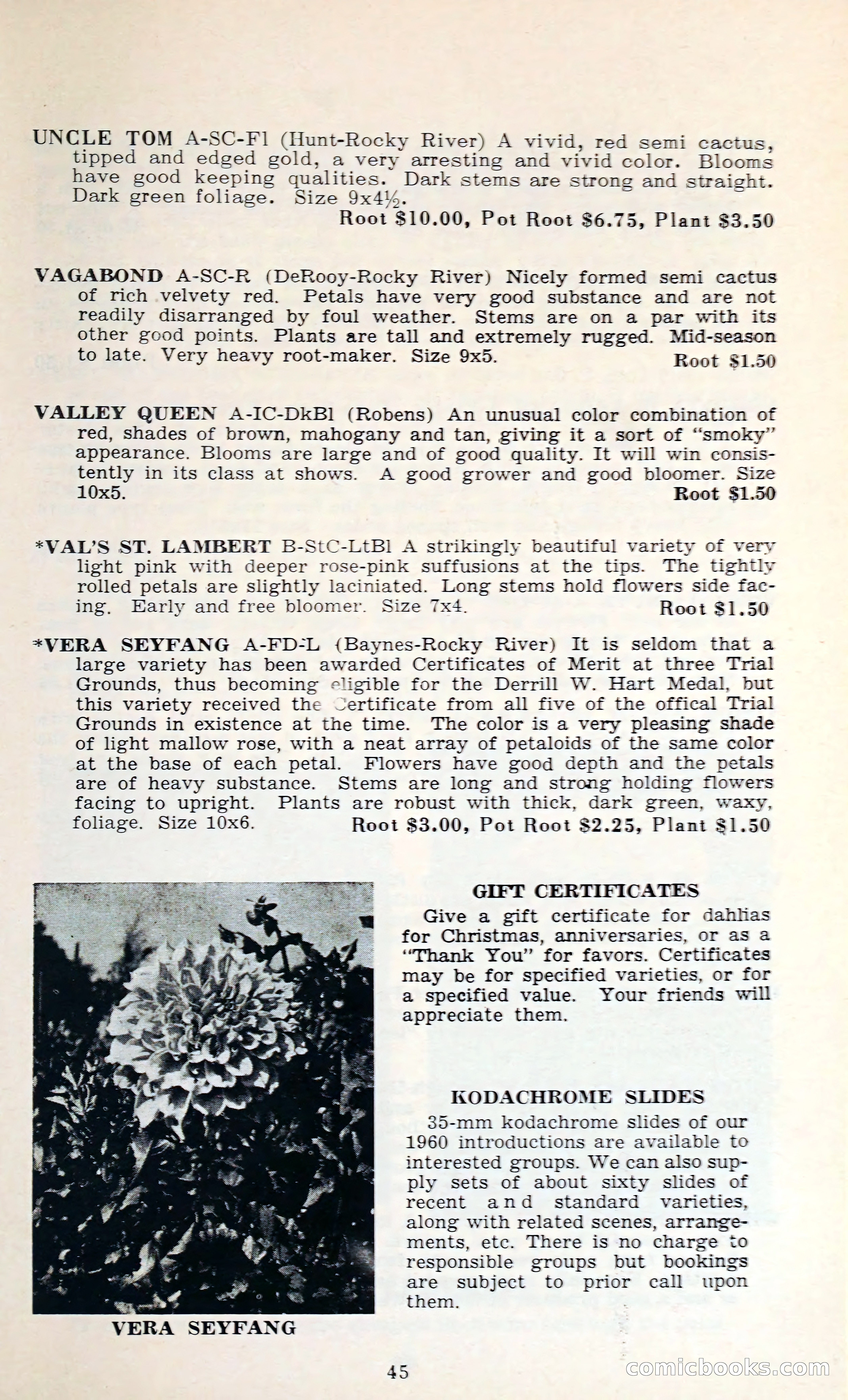 The Dahlia Blue Book for 1962 — page 48 of 71