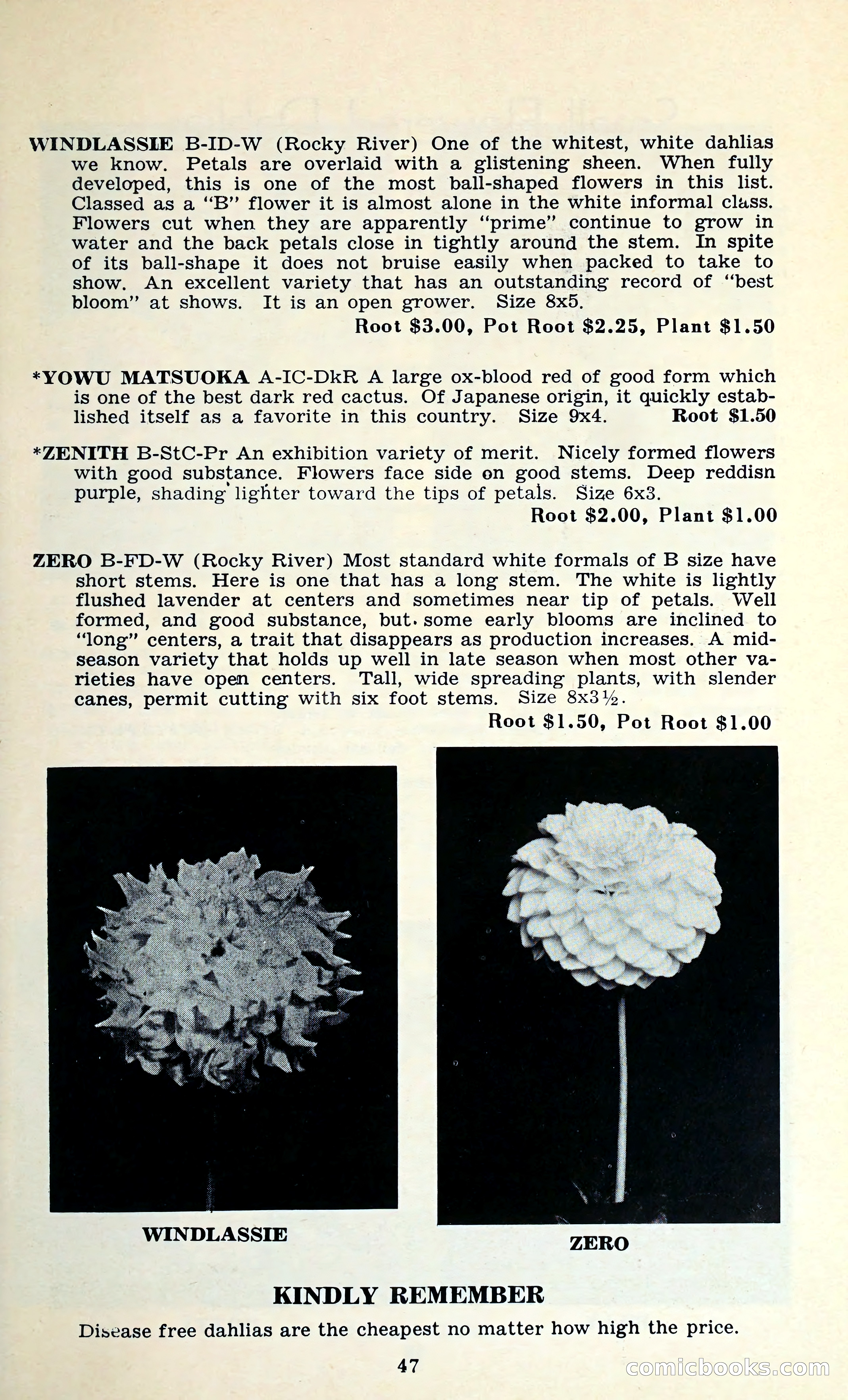 The Dahlia Blue Book for 1962 — page 50 of 71