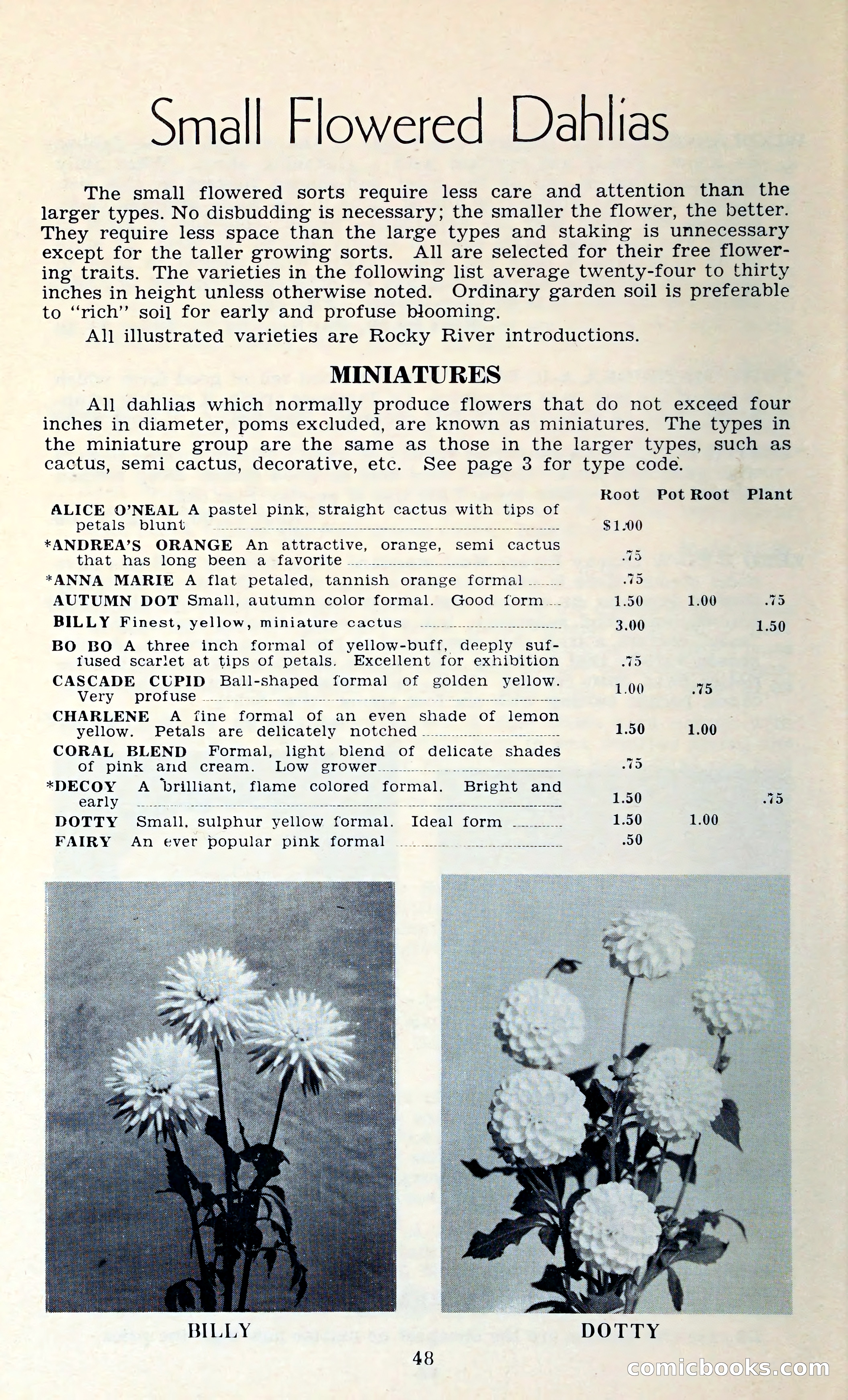 The Dahlia Blue Book for 1962 — page 51 of 71