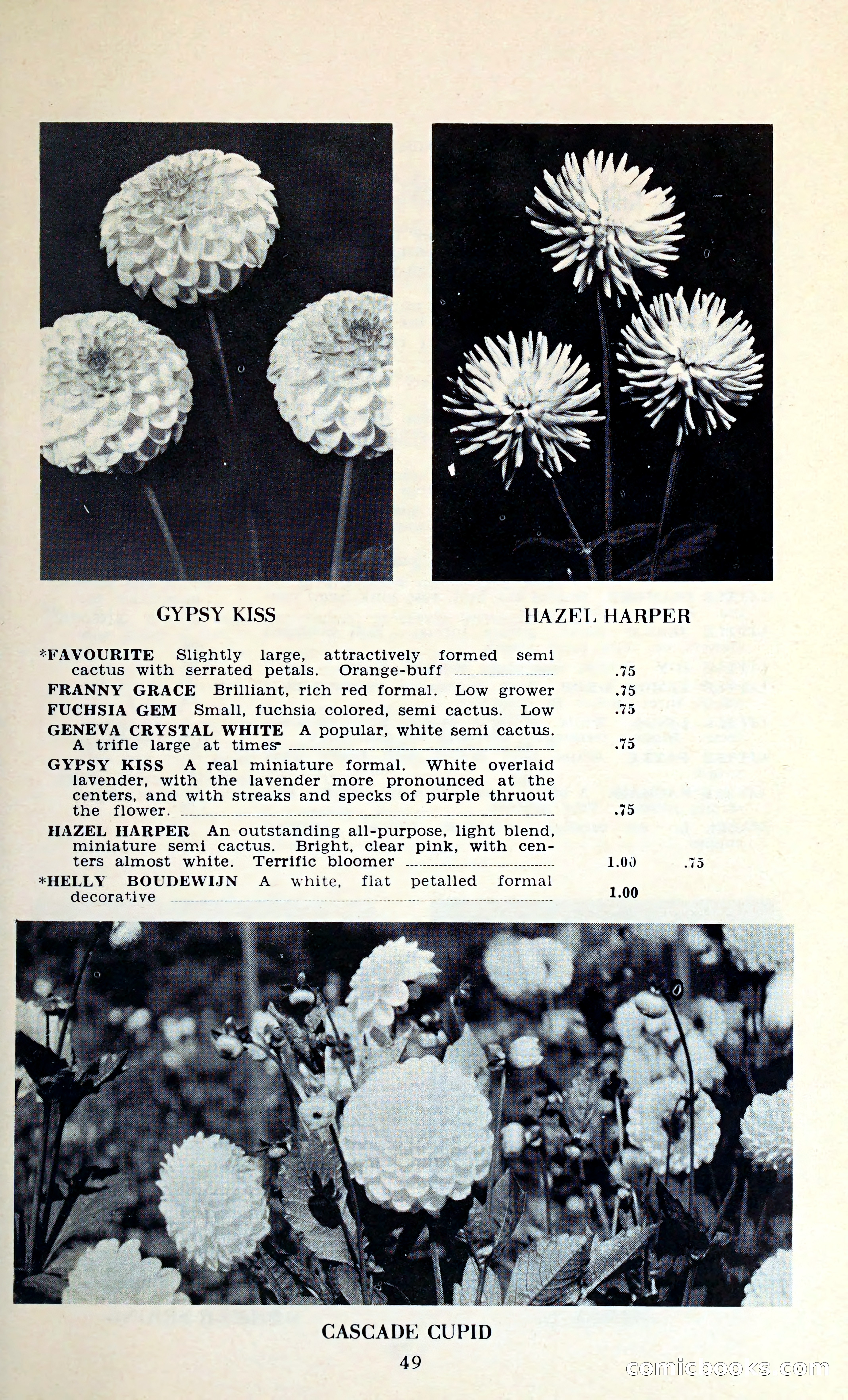The Dahlia Blue Book for 1962 — page 52 of 71