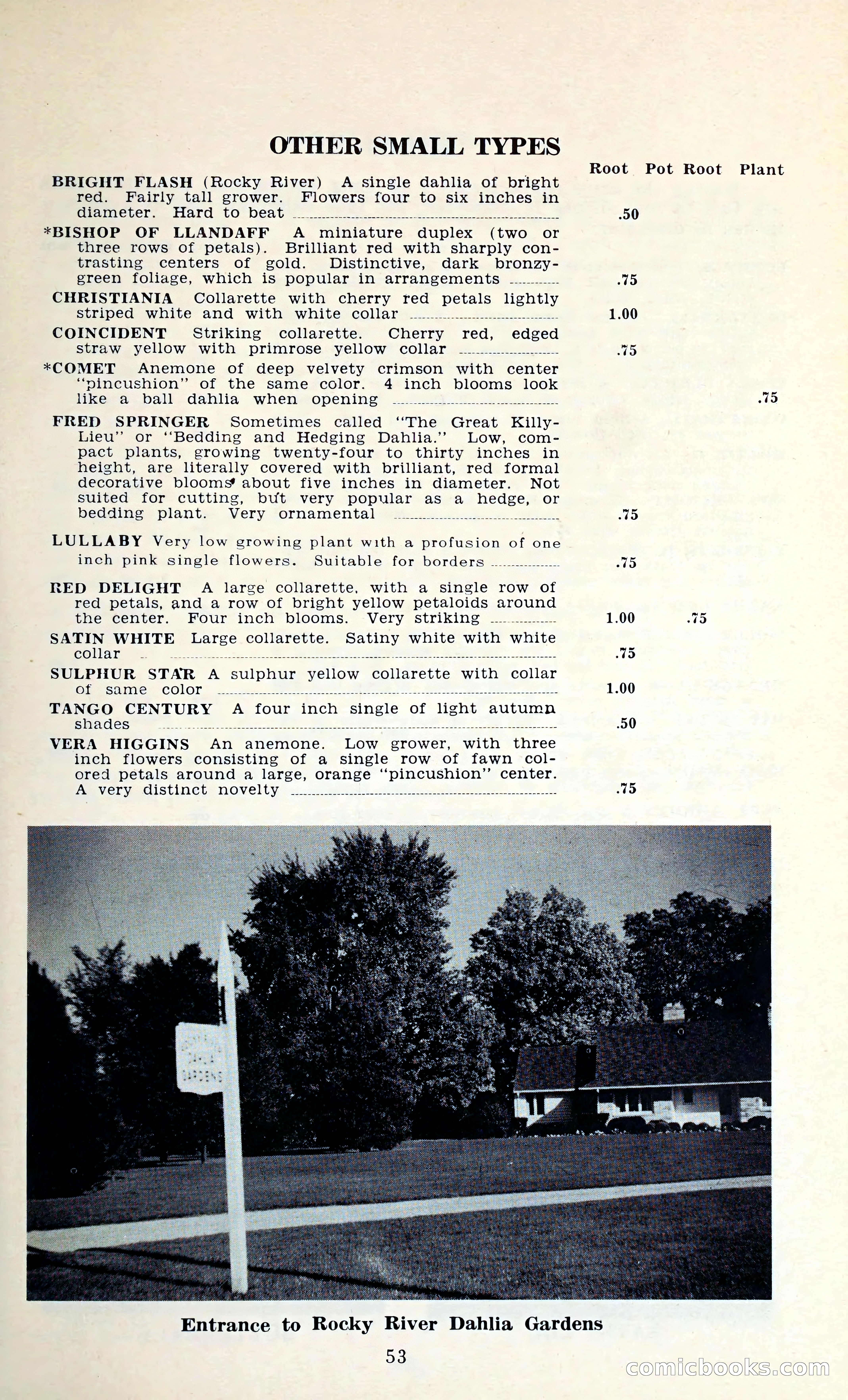 The Dahlia Blue Book for 1962 — page 56 of 71