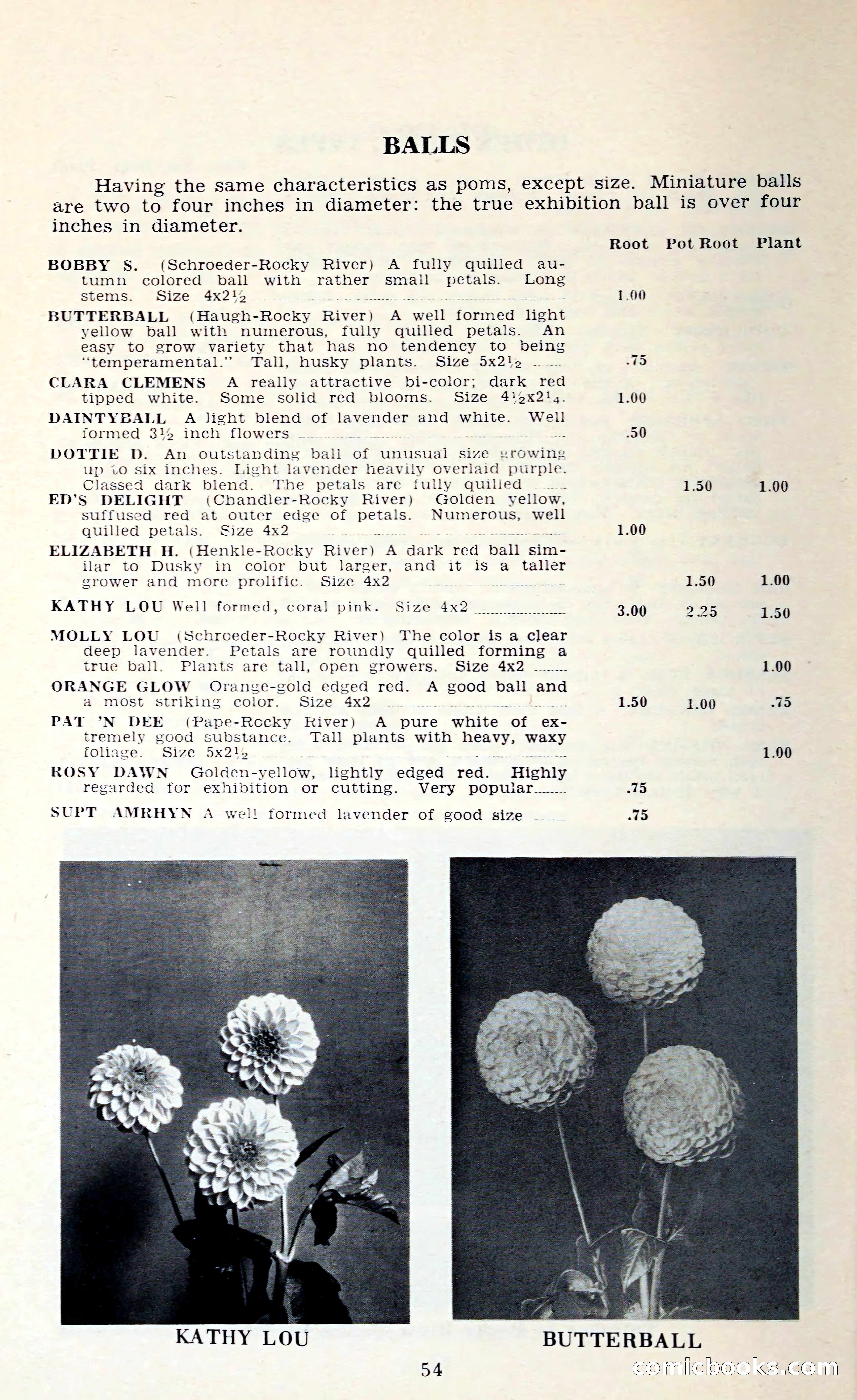 The Dahlia Blue Book for 1962 — page 57 of 71