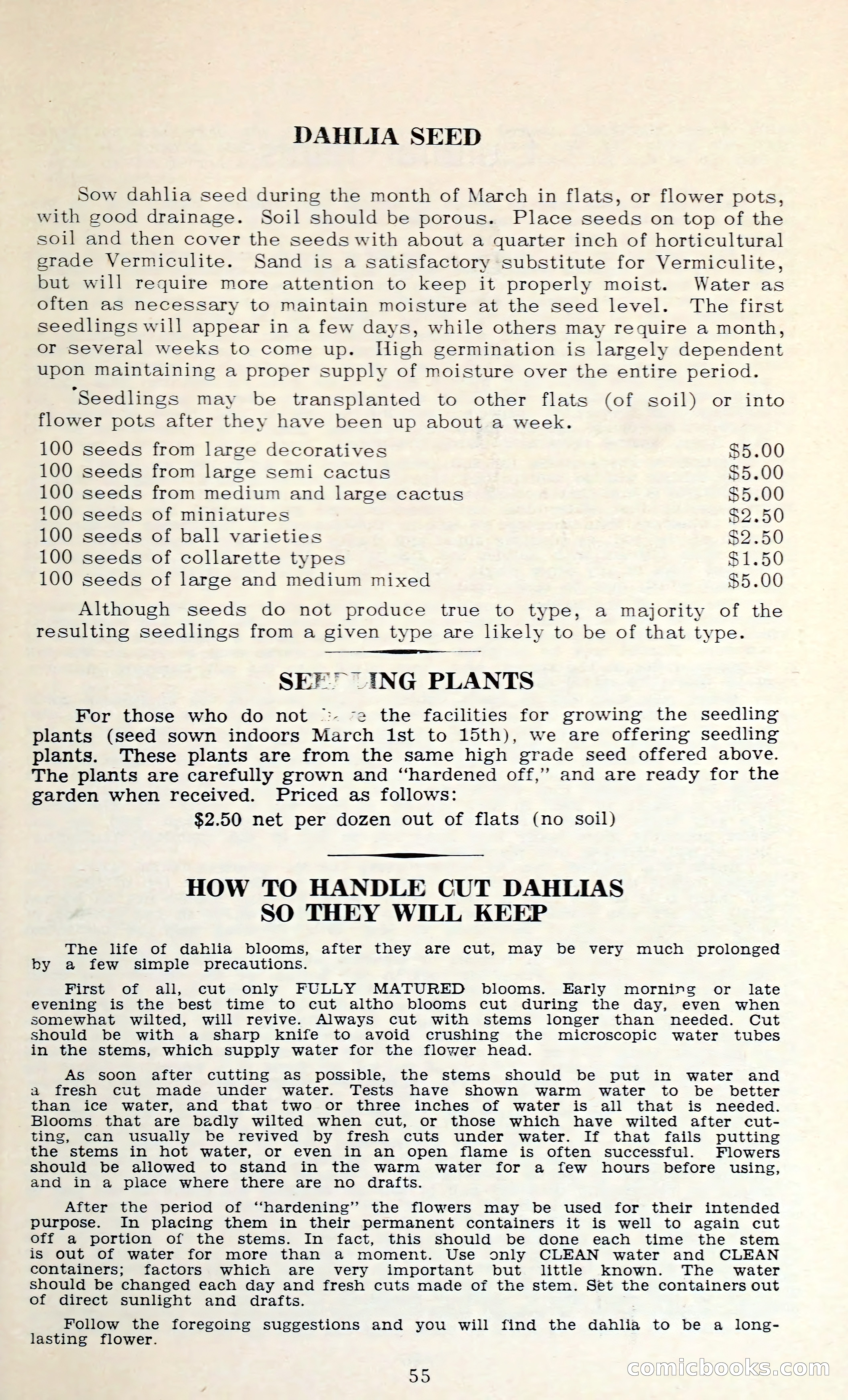 The Dahlia Blue Book for 1962 — page 58 of 71