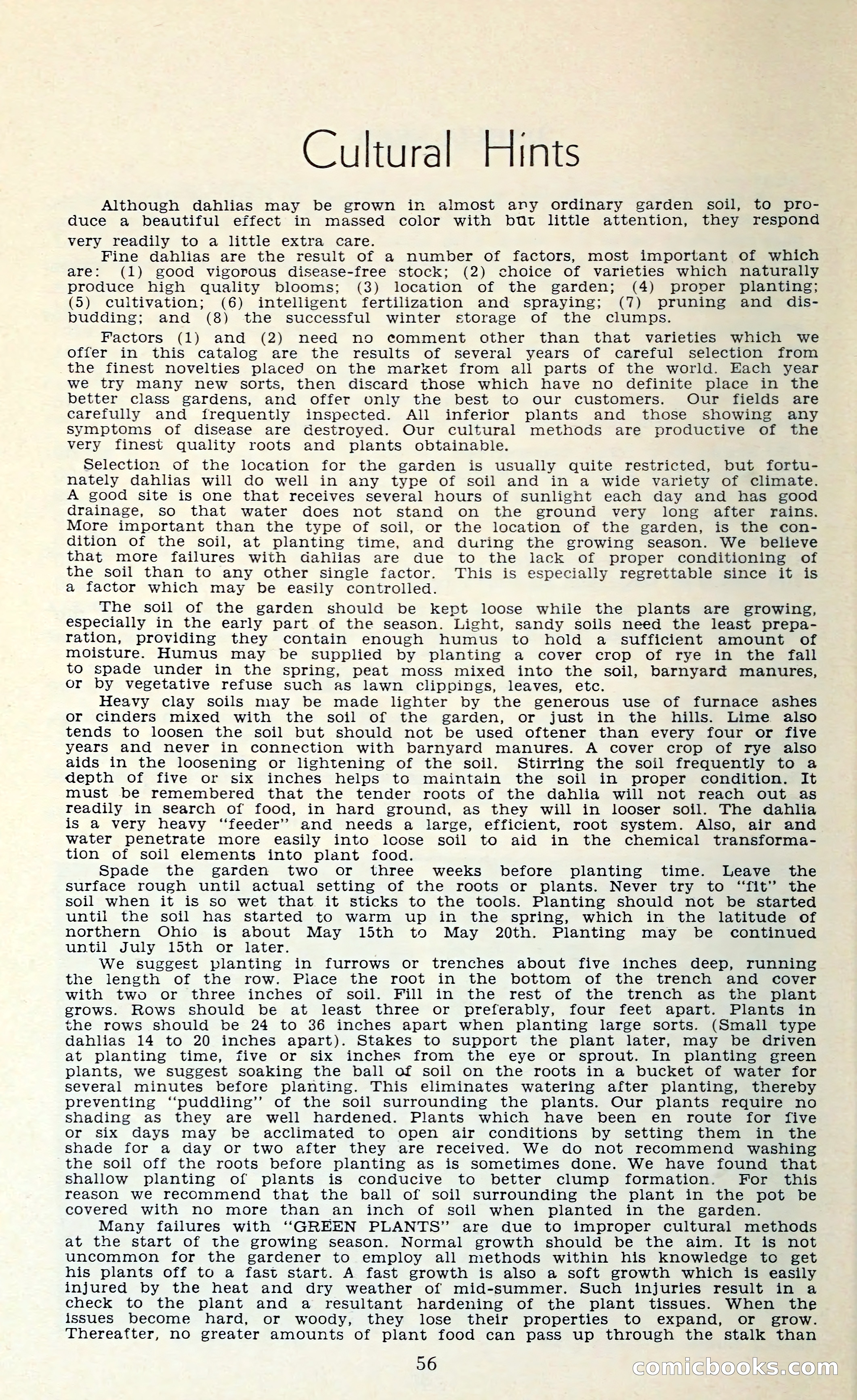 The Dahlia Blue Book for 1962 — page 59 of 71