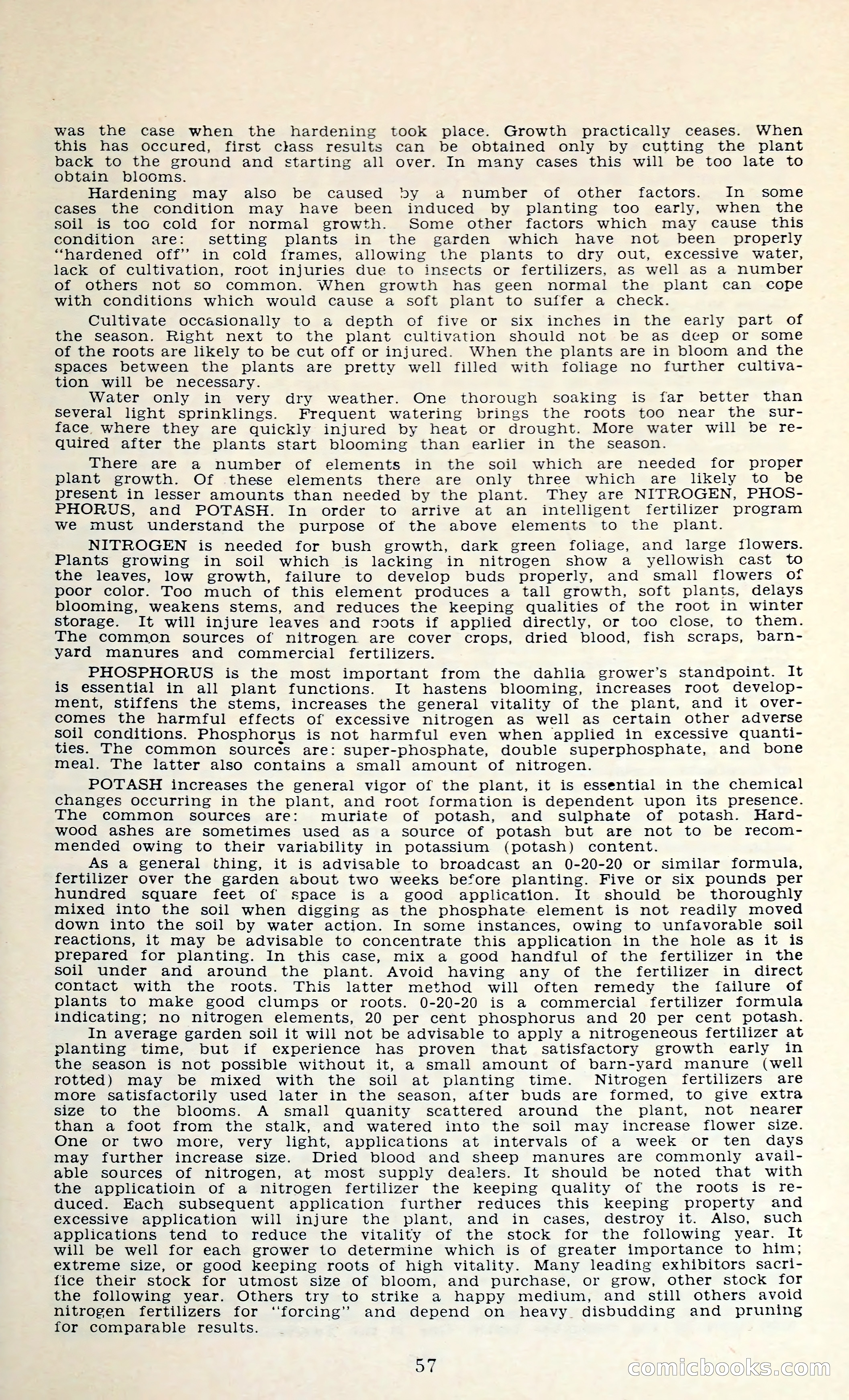 The Dahlia Blue Book for 1962 — page 60 of 71