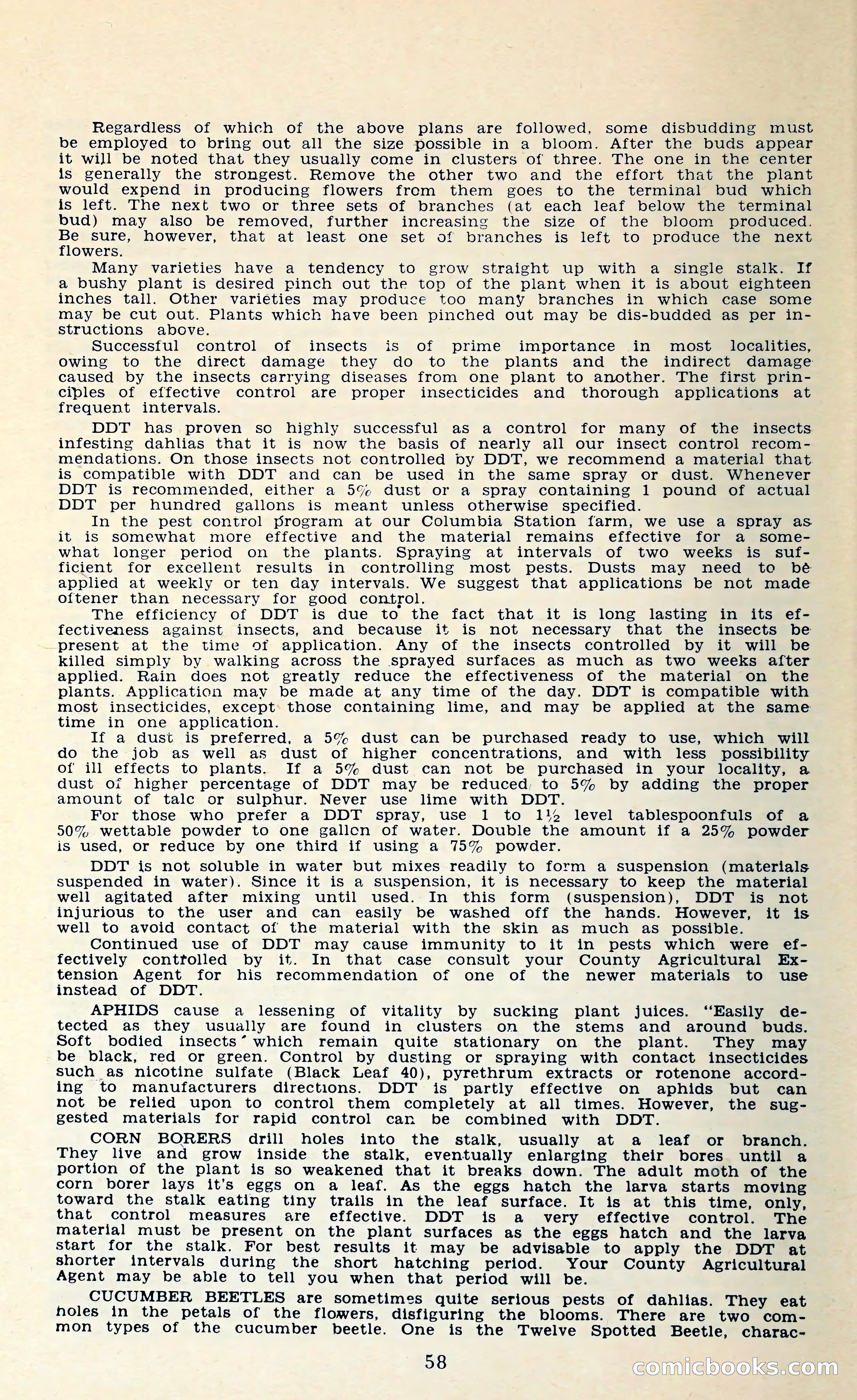 The Dahlia Blue Book for 1962 — page 61 of 71