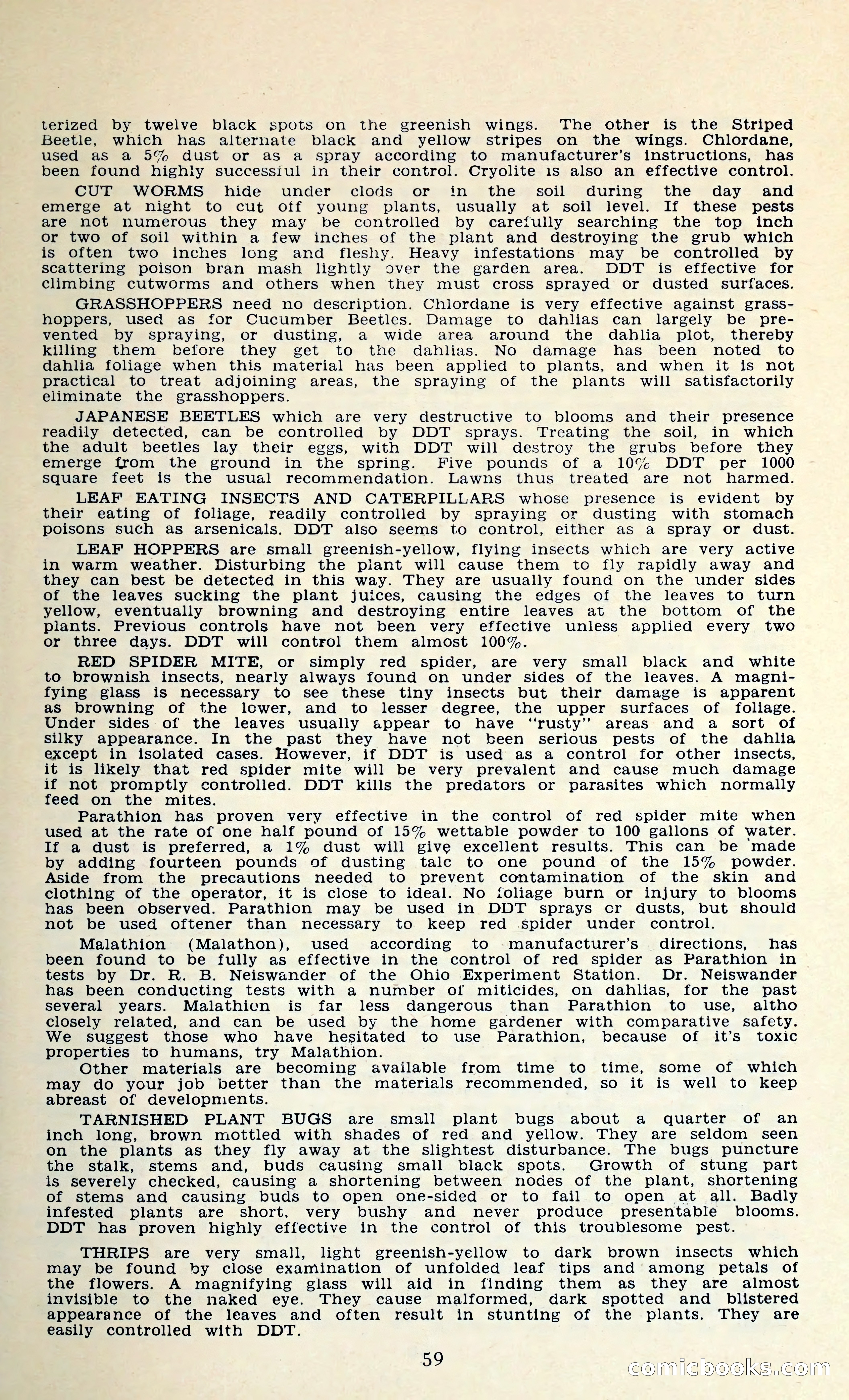 The Dahlia Blue Book for 1962 — page 62 of 71