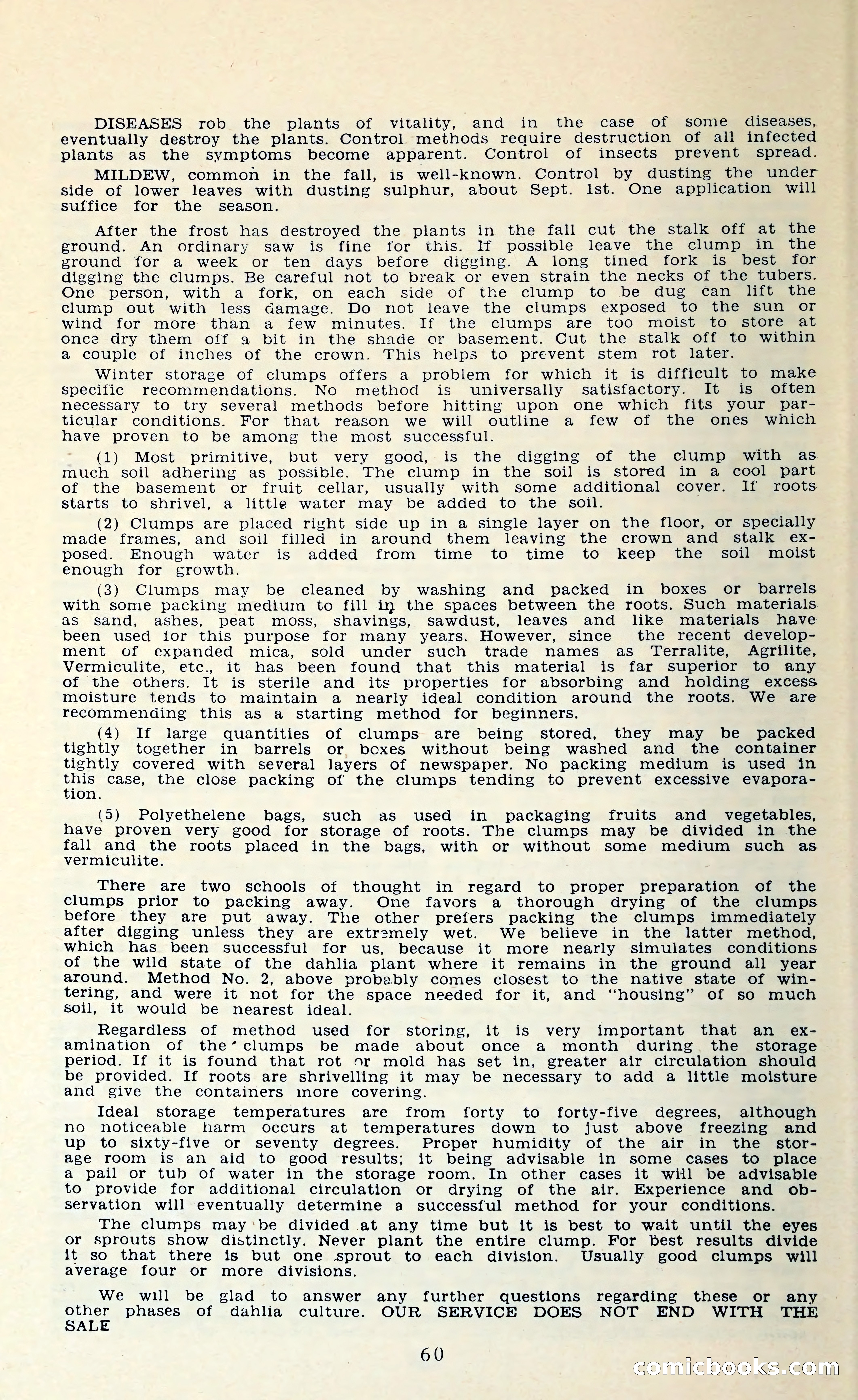 The Dahlia Blue Book for 1962 — page 63 of 71