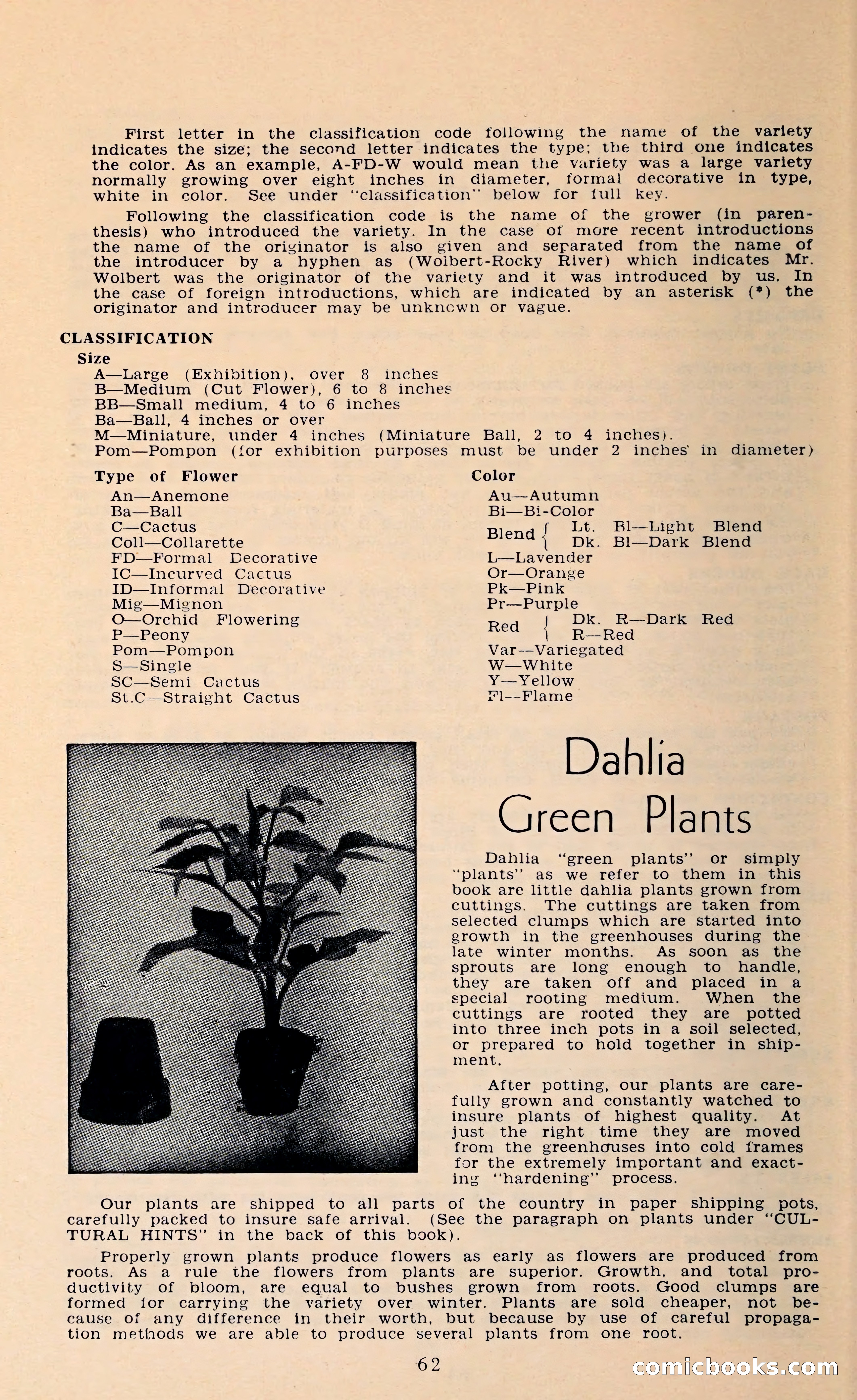 The Dahlia Blue Book for 1962 — page 65 of 71