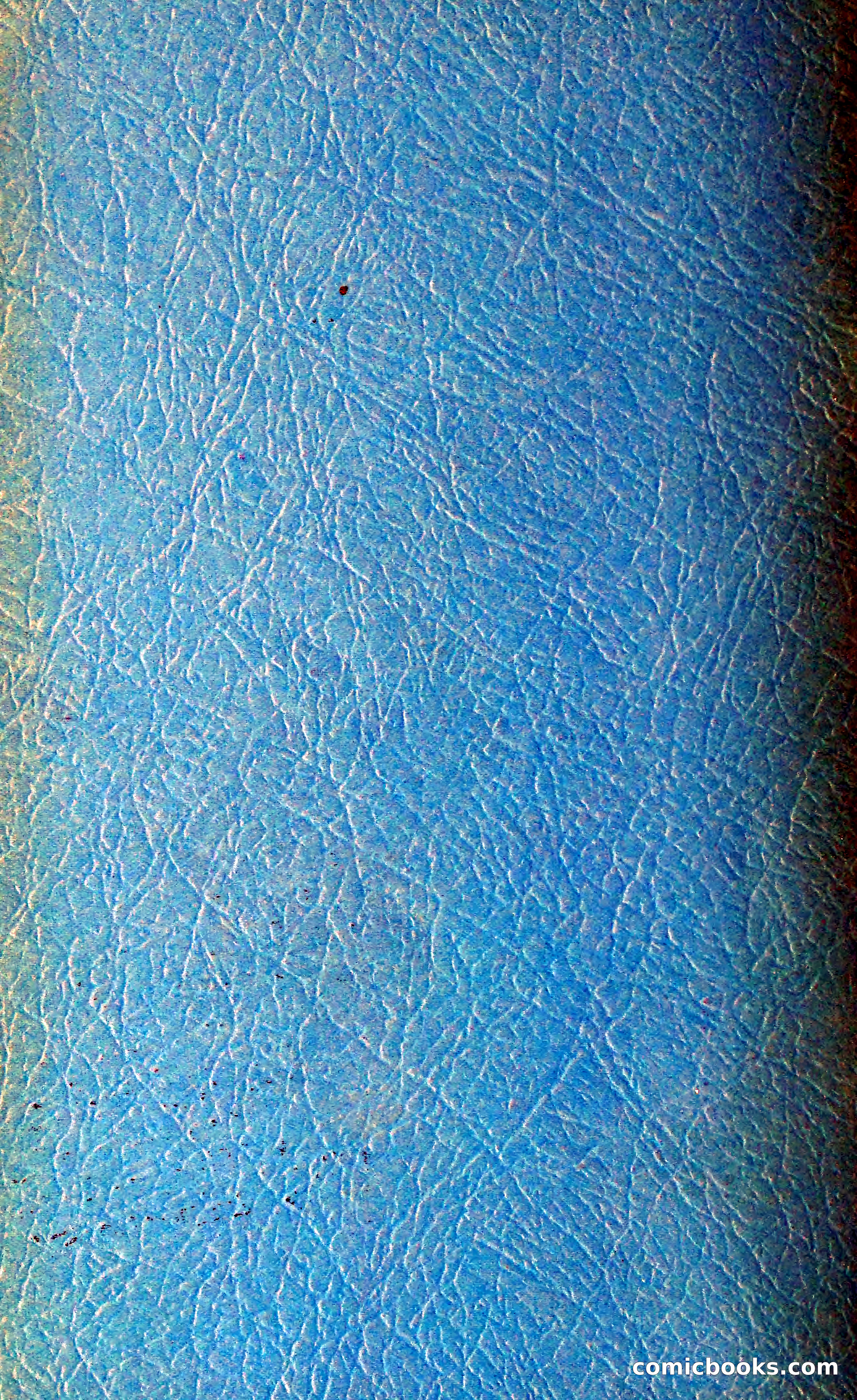 The Dahlia Blue Book for 1962 — page 71 of 71