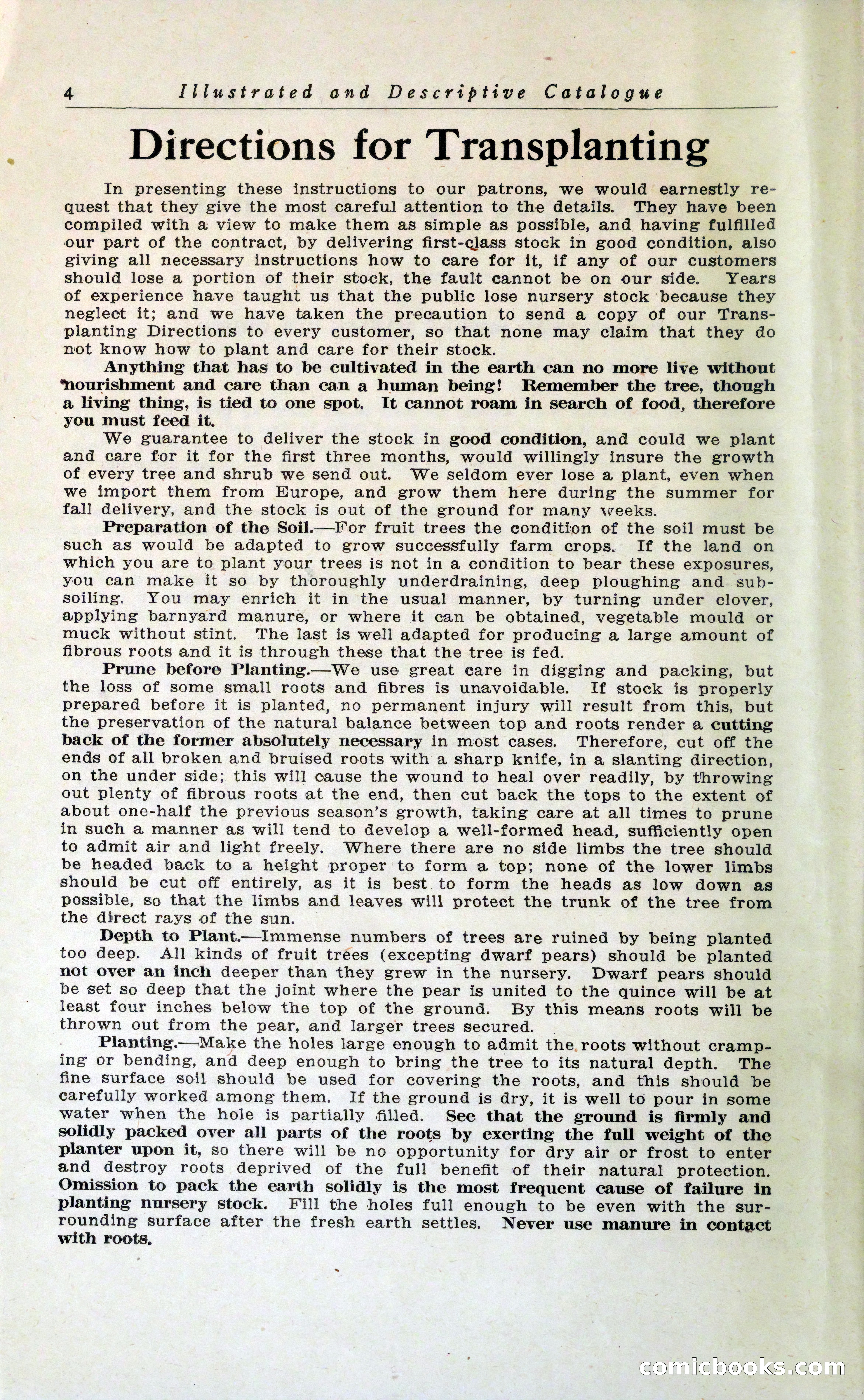 Blue Book of Hardy Trees, Shrubs & Plants — page 8 of 134