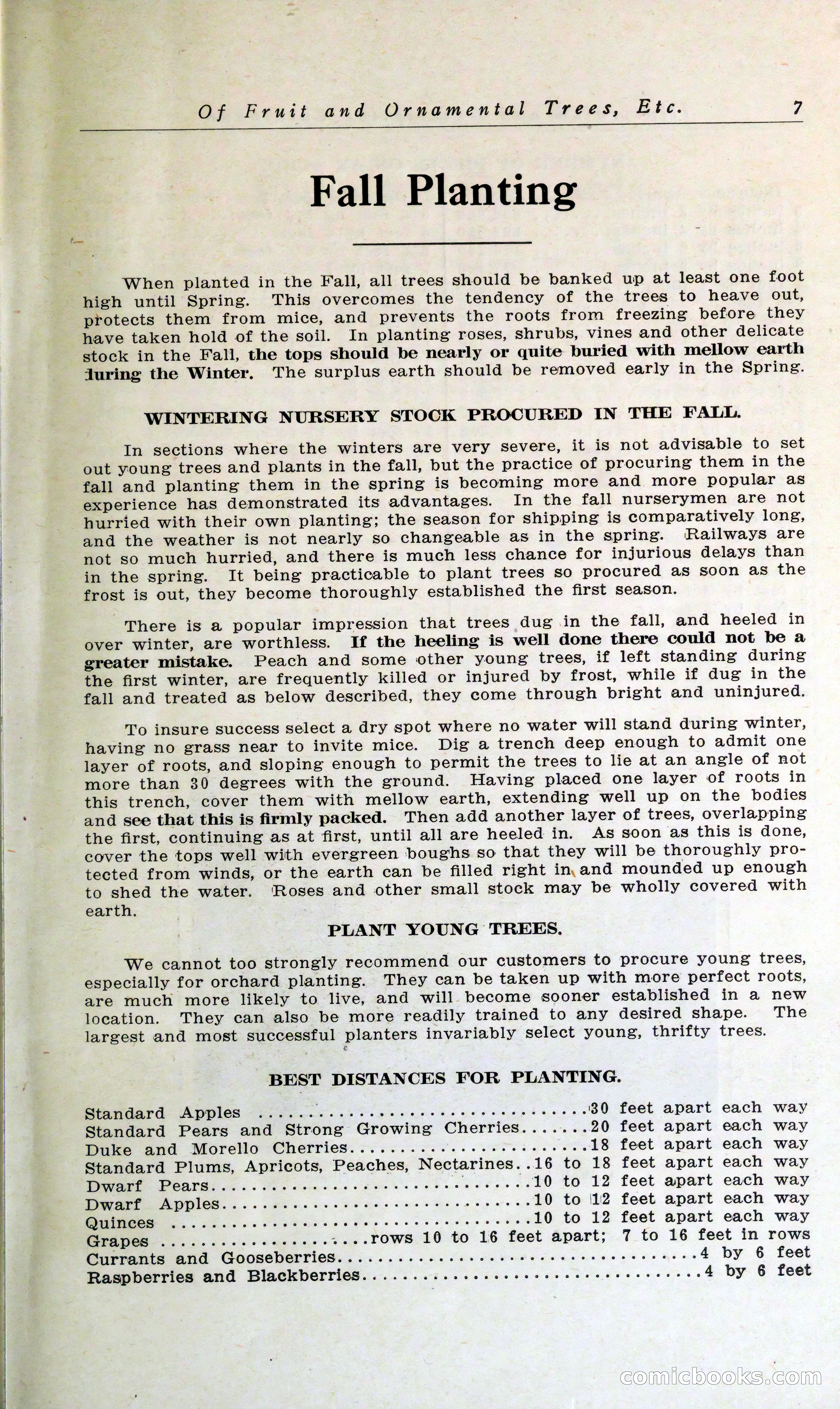 Blue Book of Hardy Trees, Shrubs & Plants — page 11 of 134